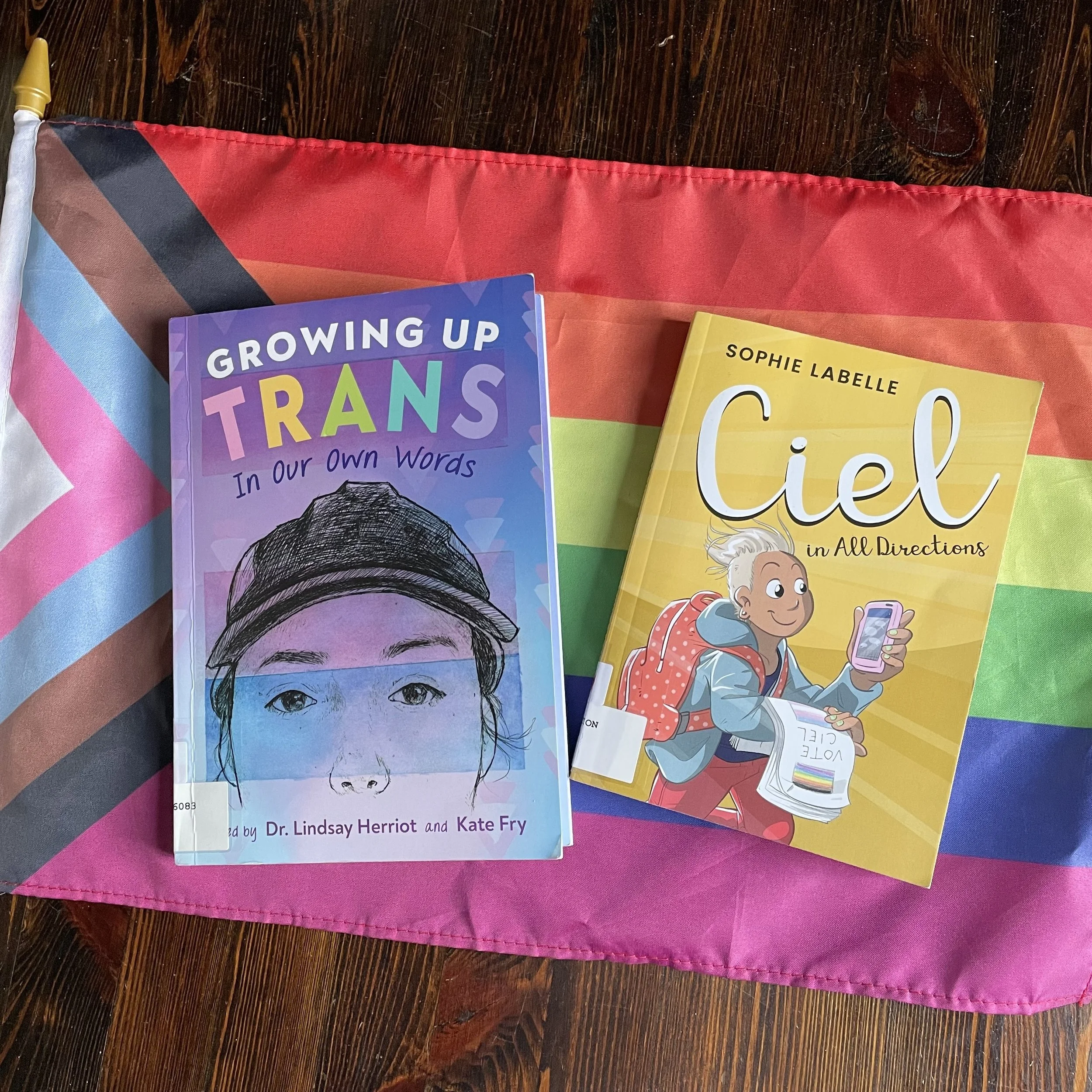 2022 International Transgender Day of Visibility