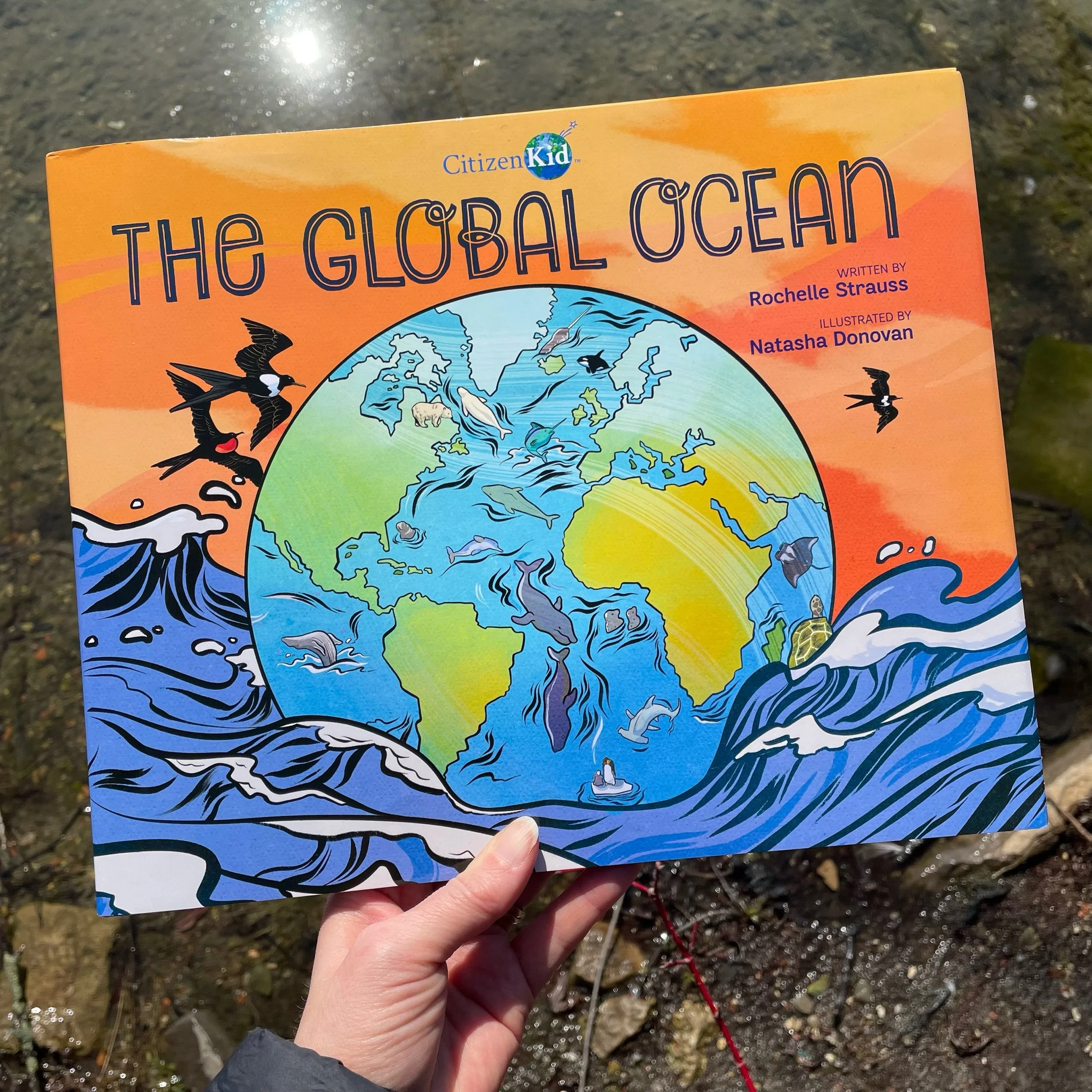 The Global Ocean