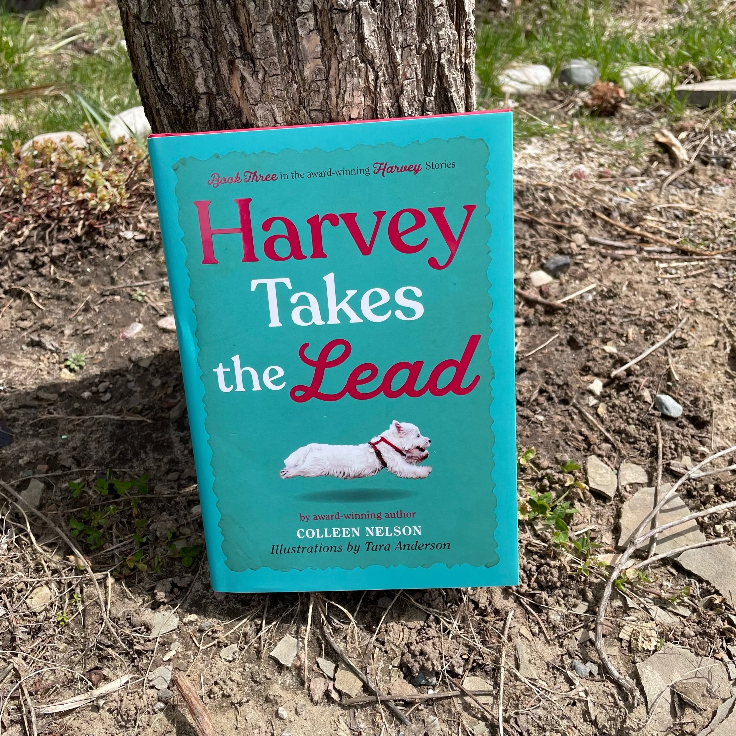 Harvey Takes the Lead