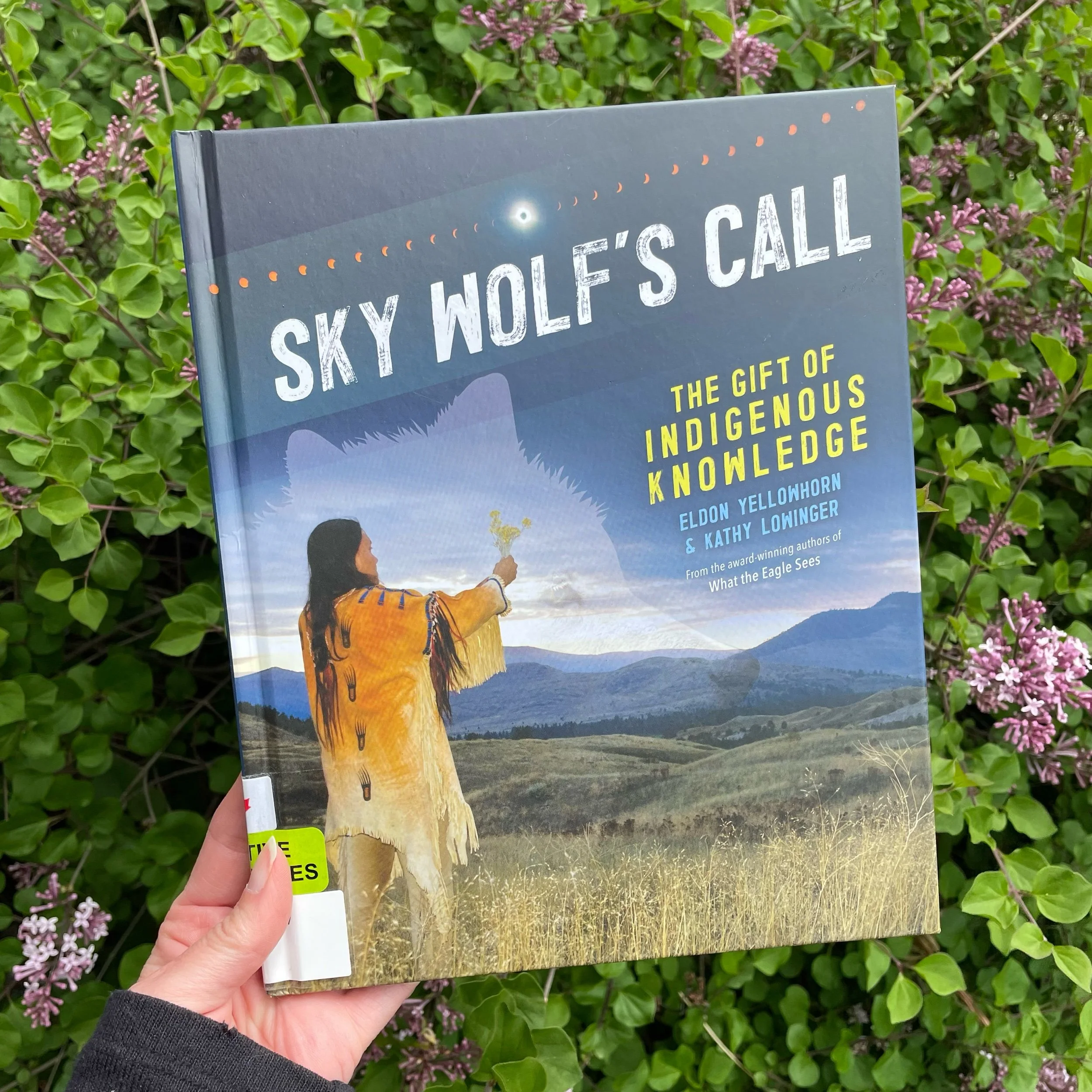 Sky Wolf’s Call: The Gift of Indigenous Knowledge