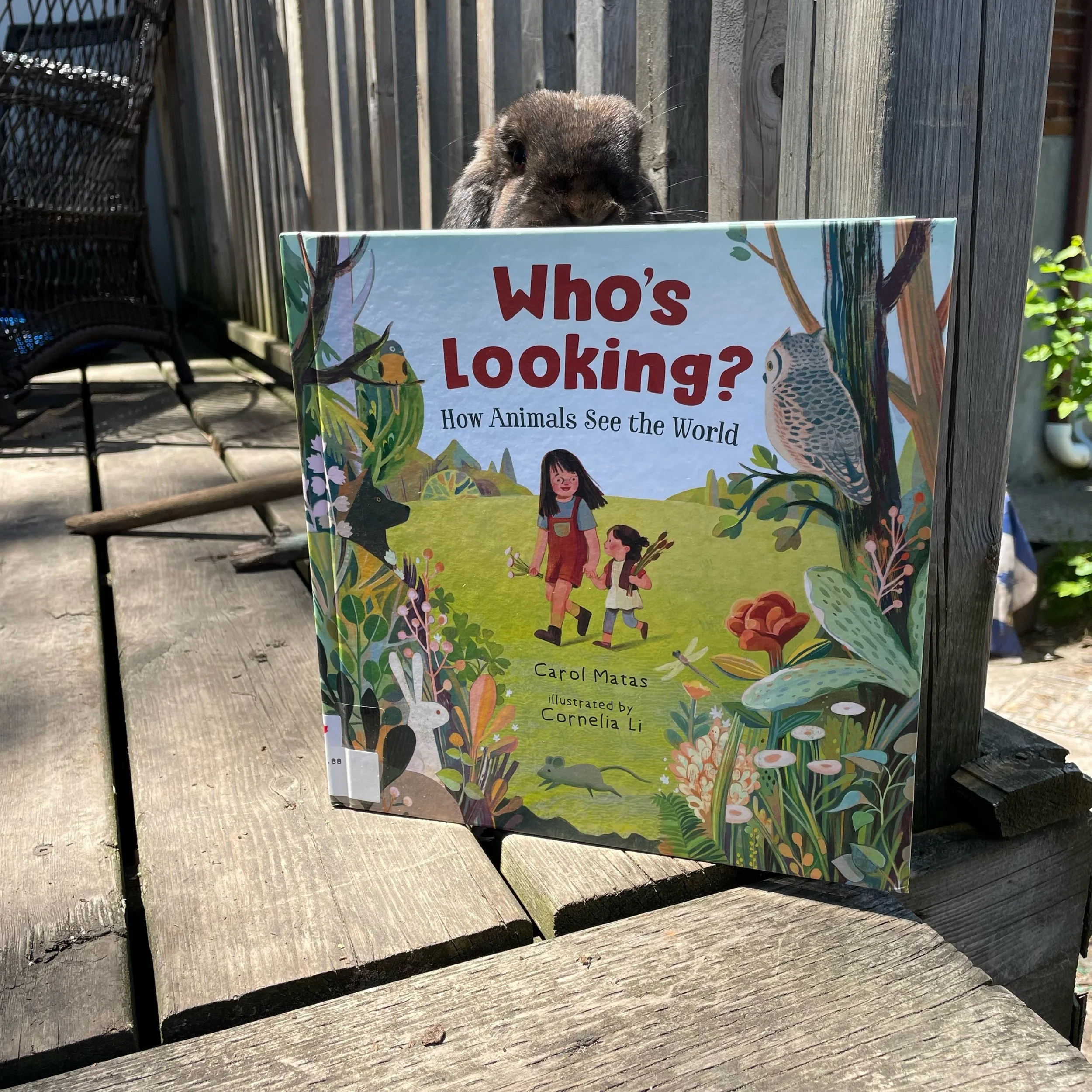 Who’s Looking? Hope Animals See the World