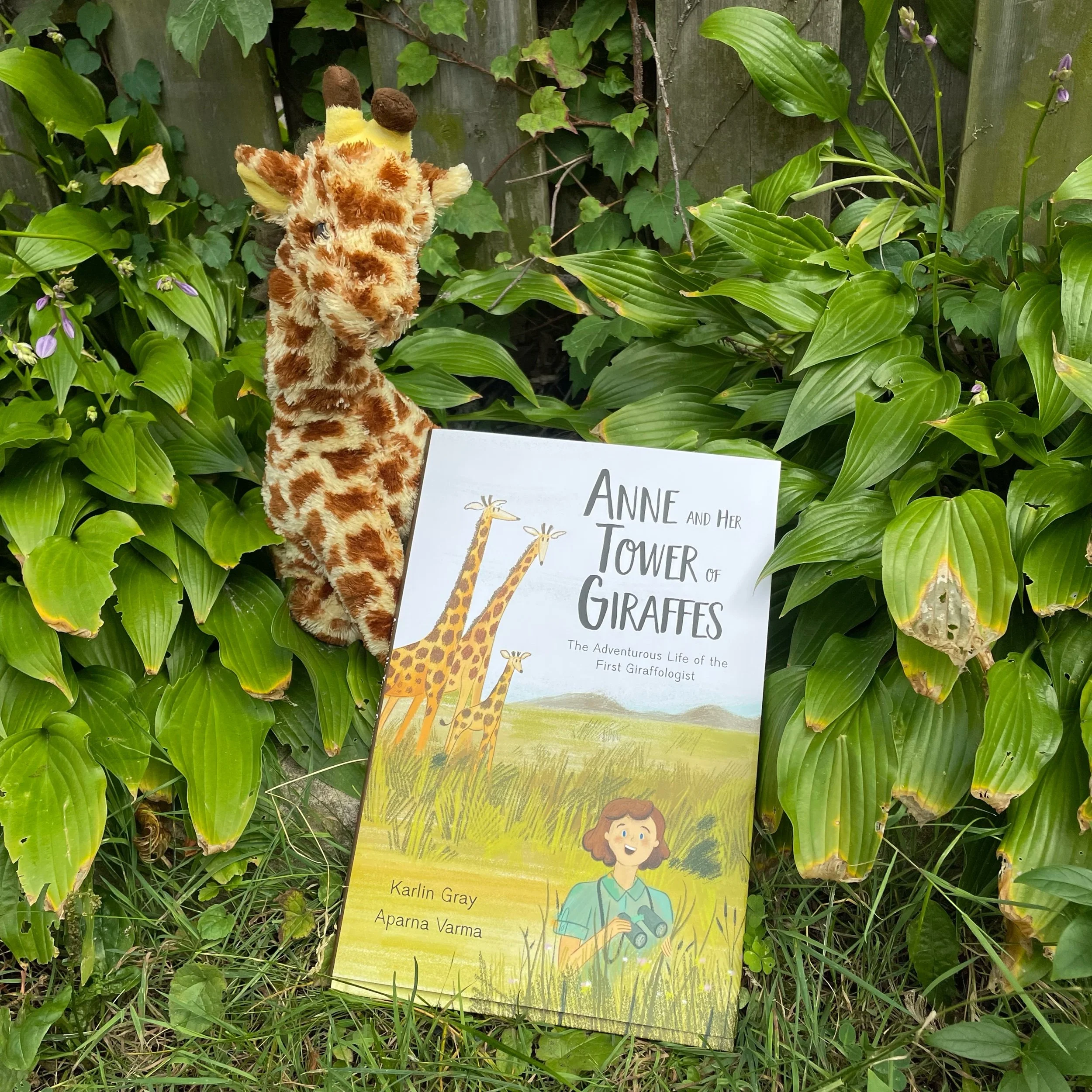 Anne and her Tower of Giraffes