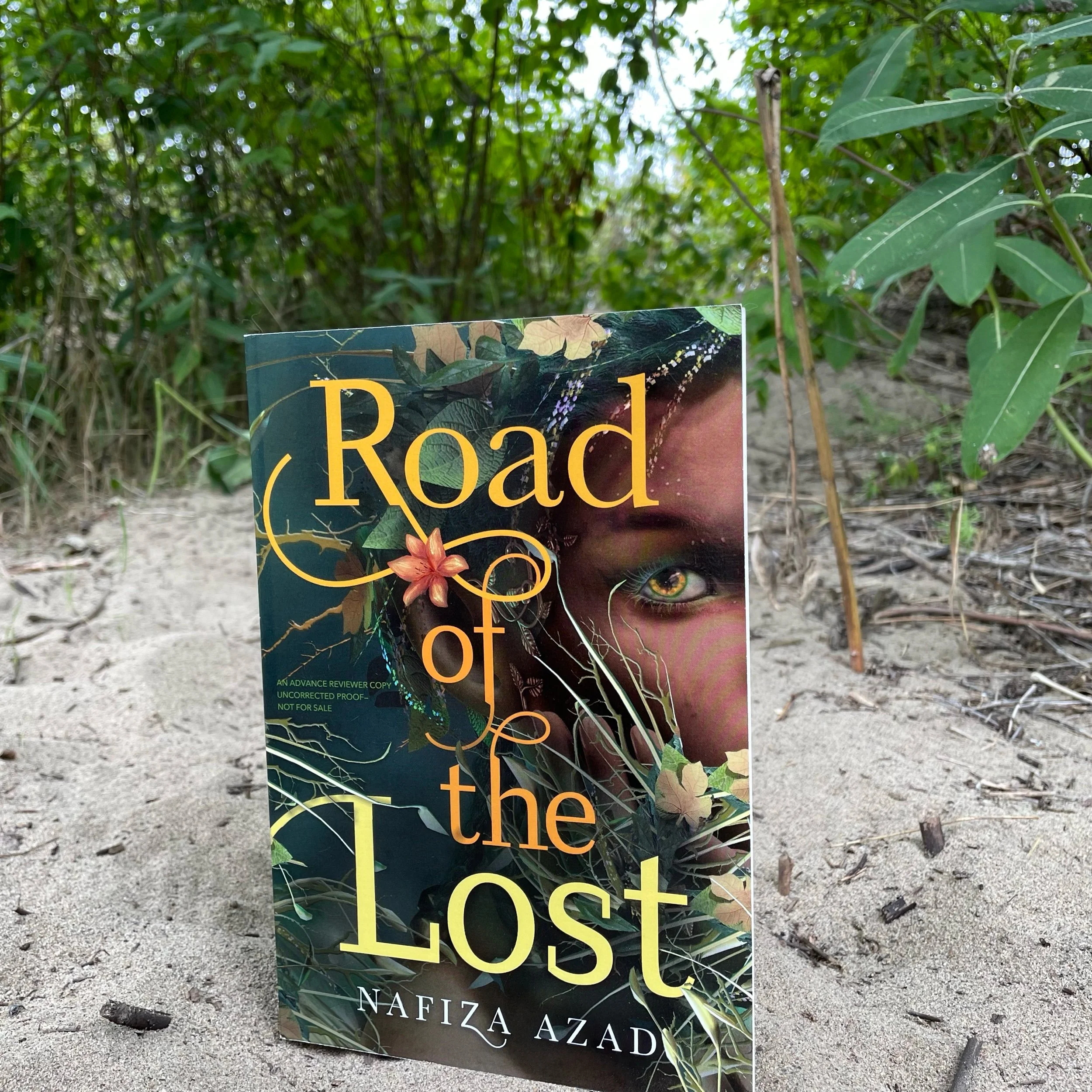 Road of the Lost