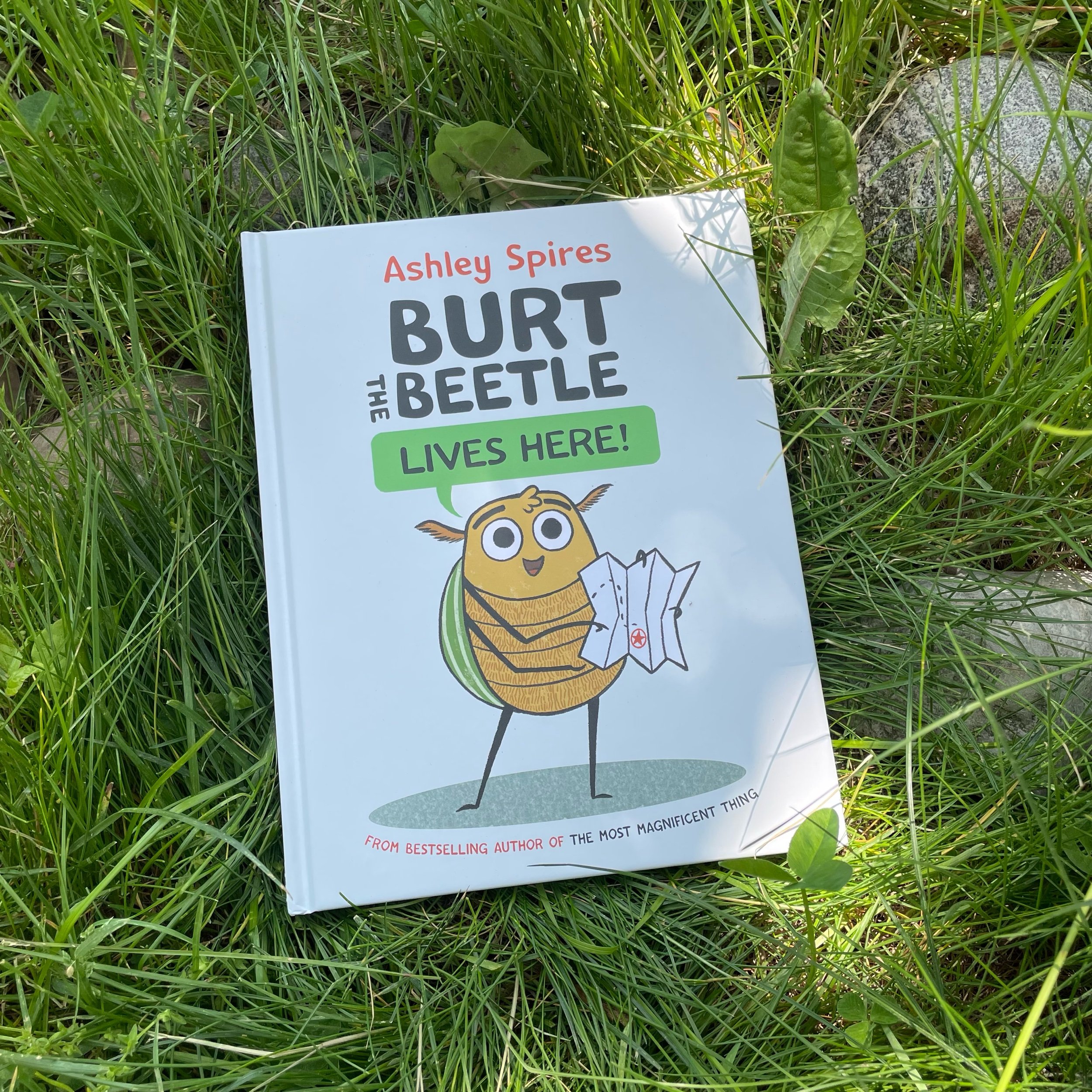 Bert The Beetle Lives Here