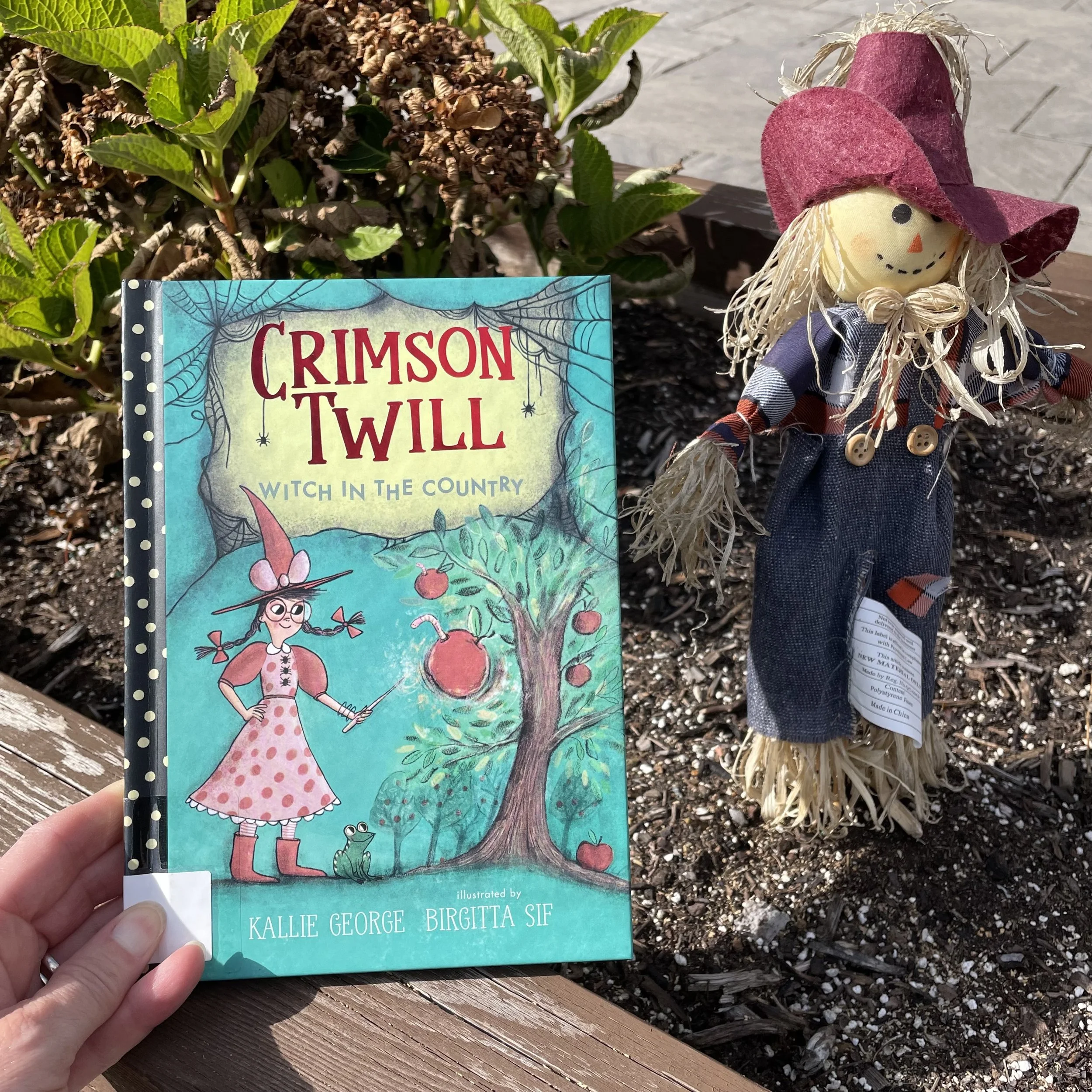 Crimson Twill: Witch in the Country