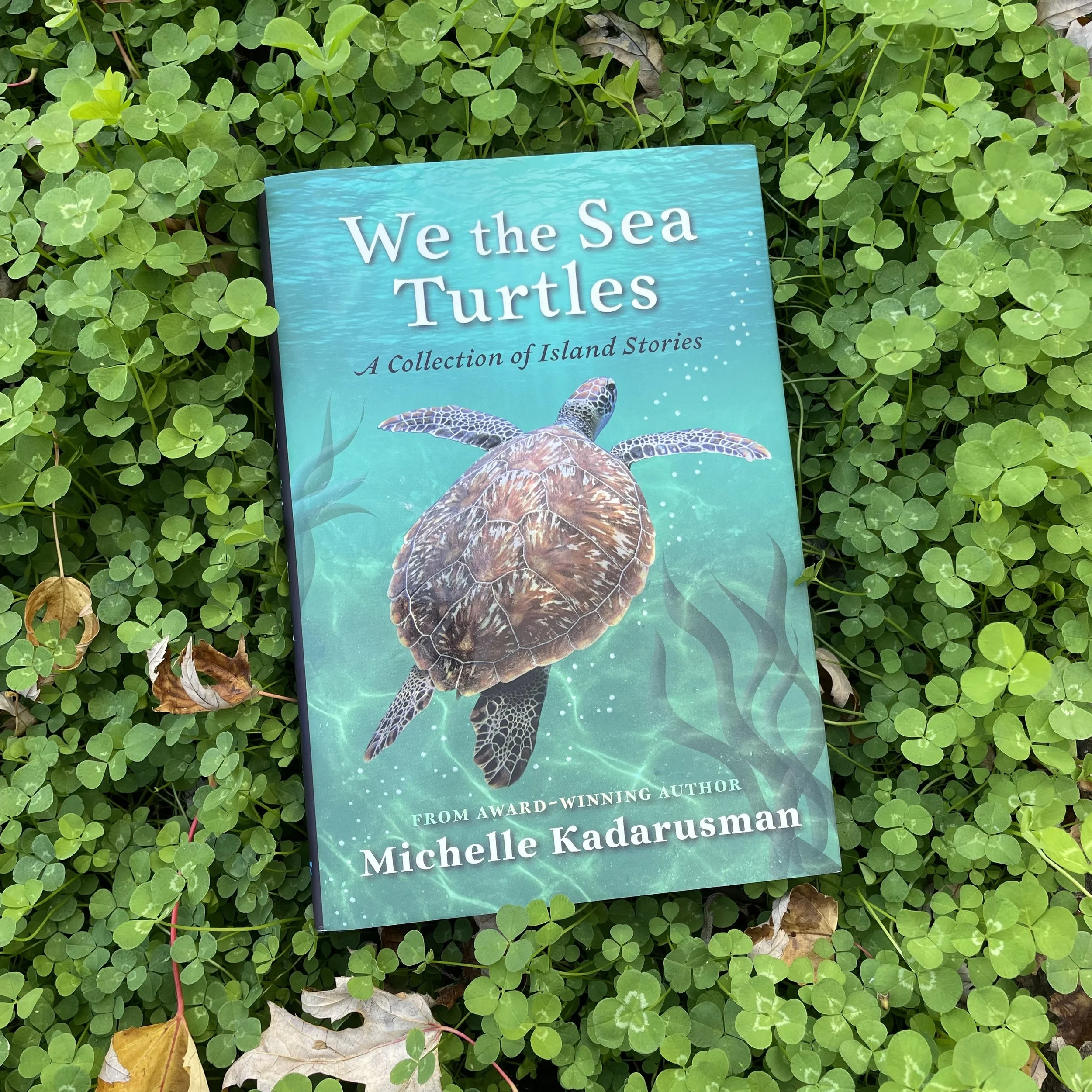 We The Sea Turtles: A Collection of Island Stories