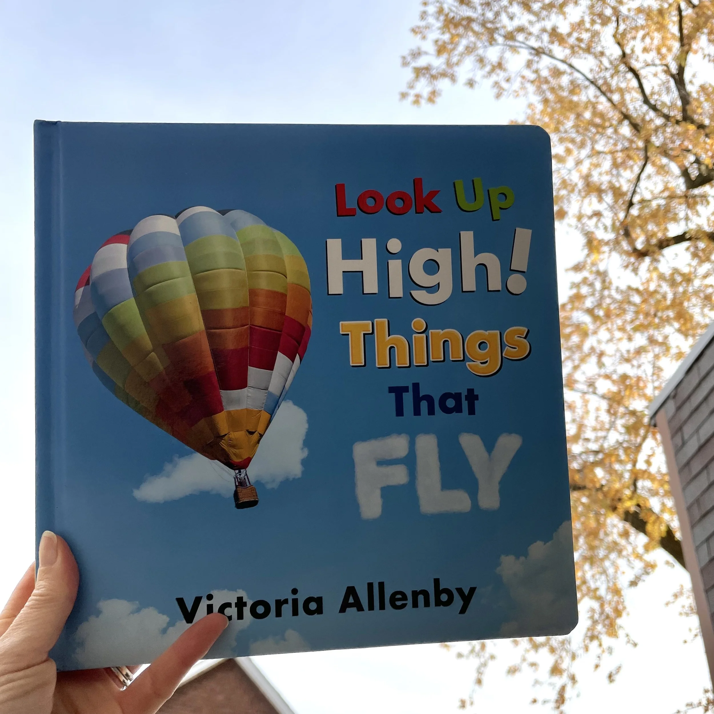 Look Up High! Things That Fly!