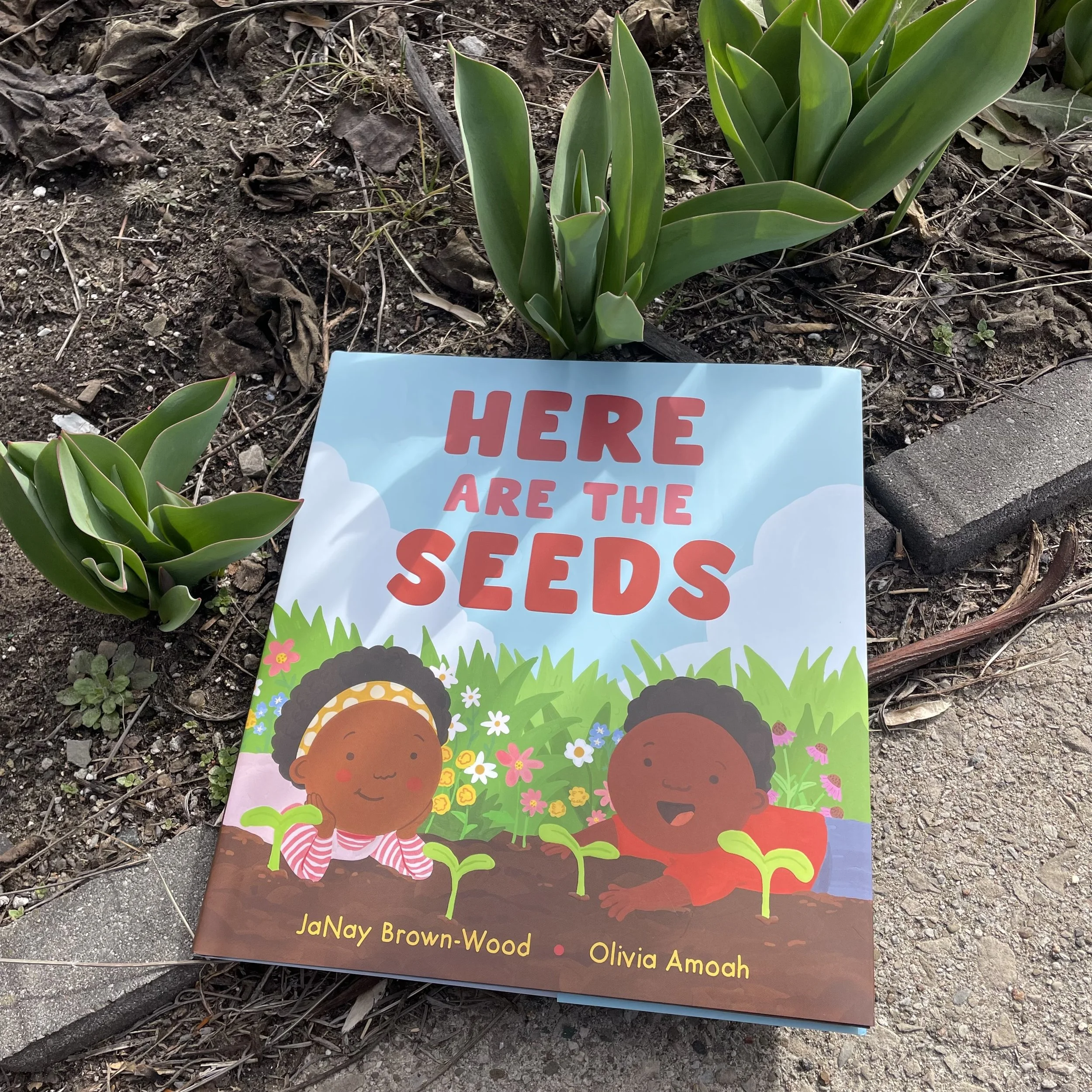 Here Are The Seeds