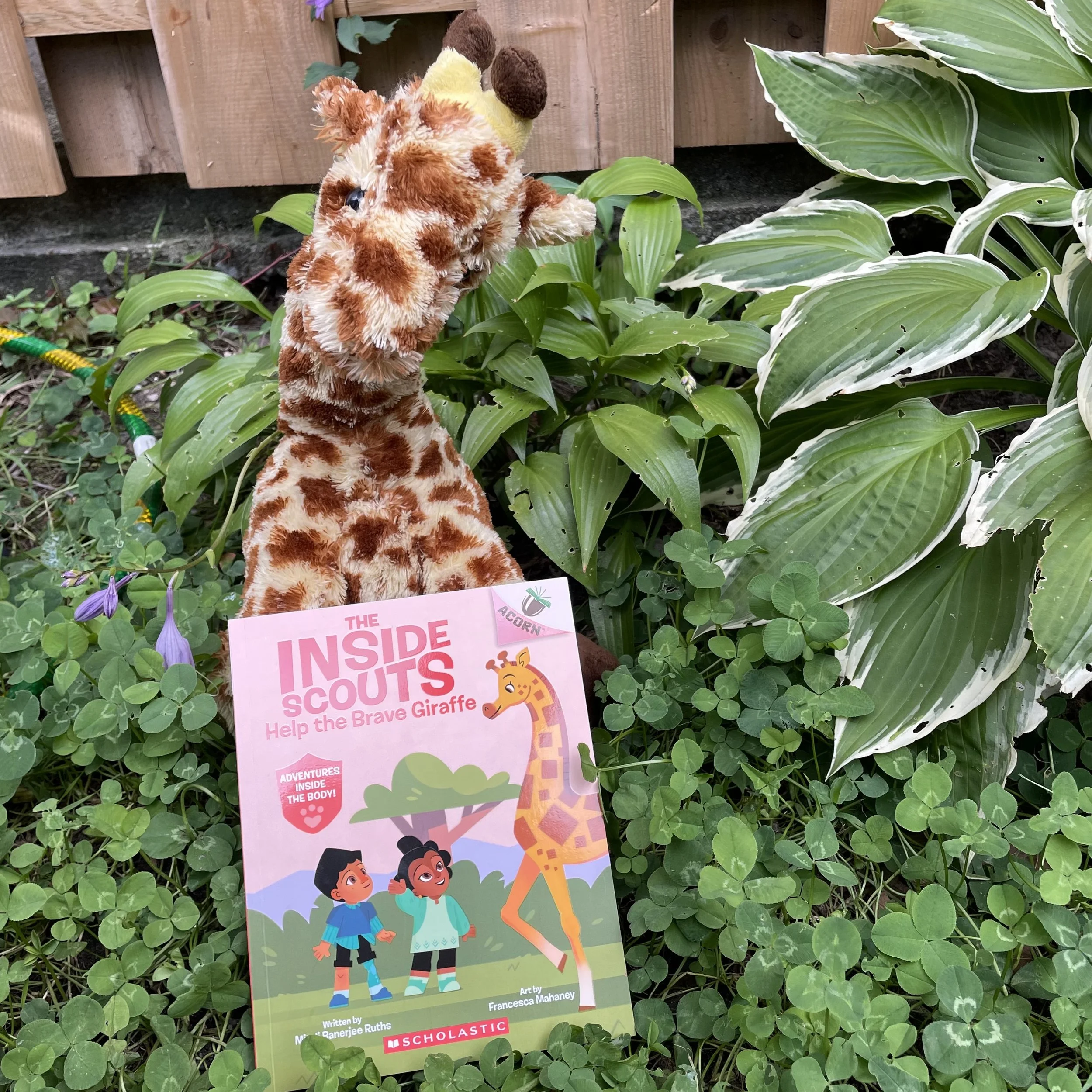 Inside Scouts #3: Help the Brave Giraffe