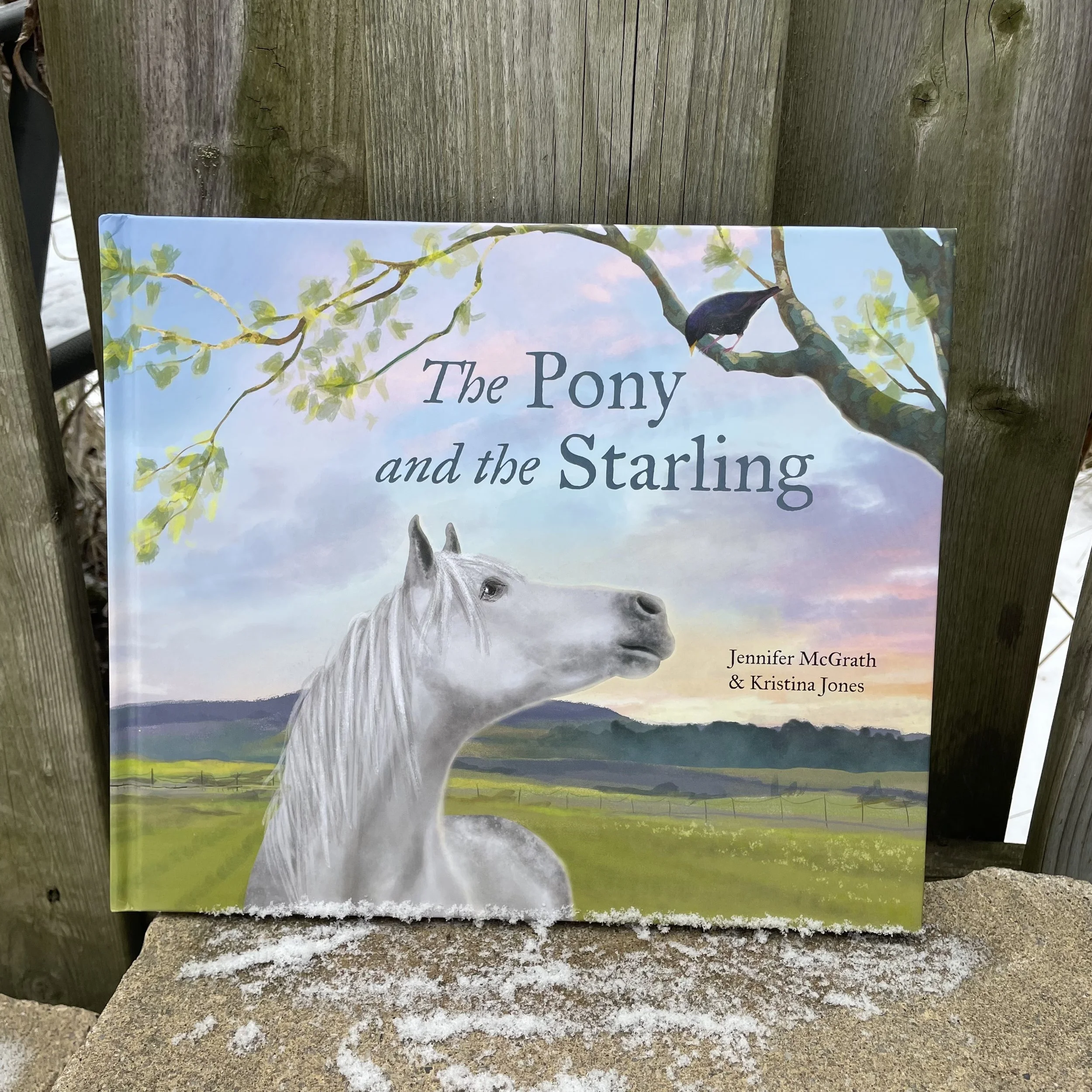 The Pony and the Starling