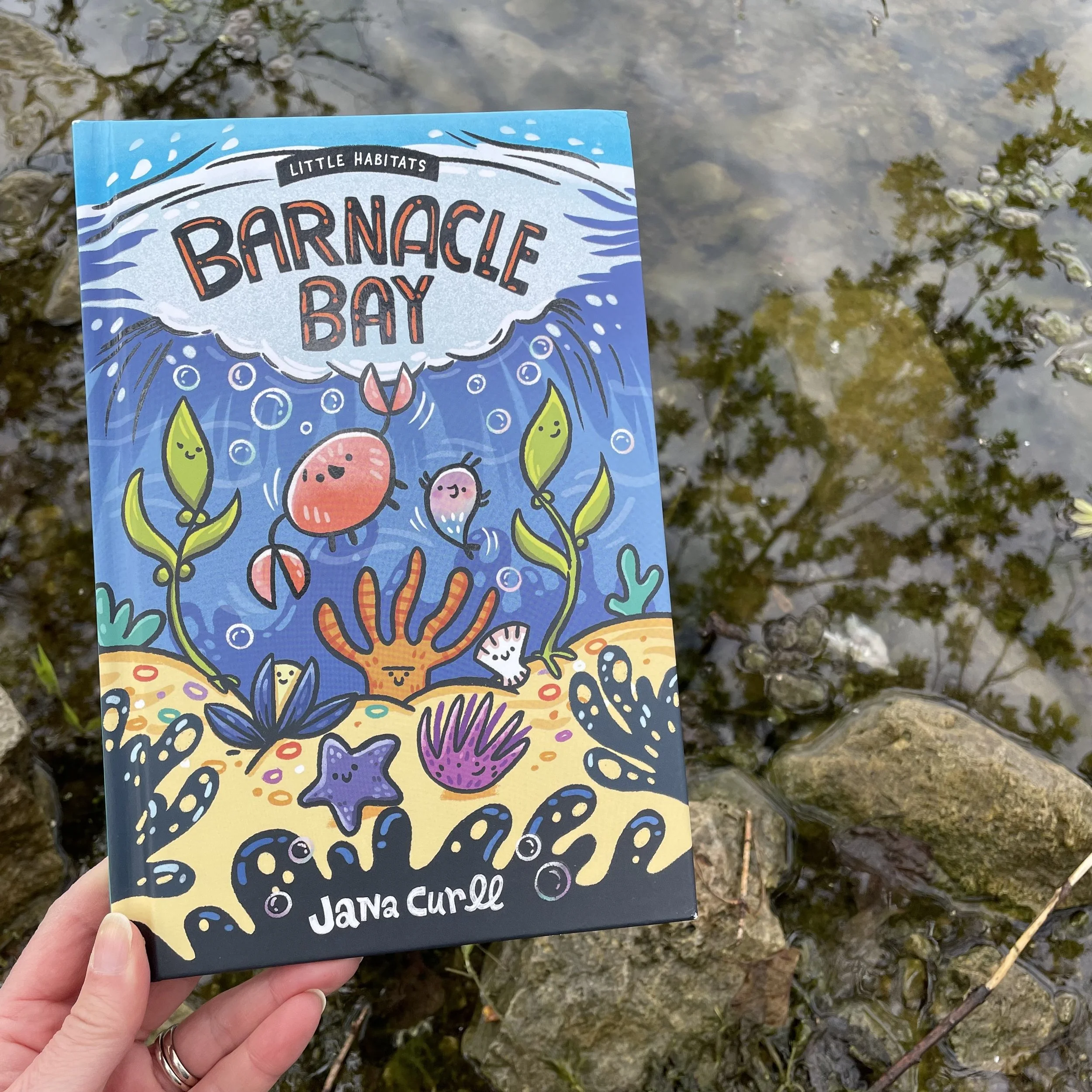 Barnacle Bay
