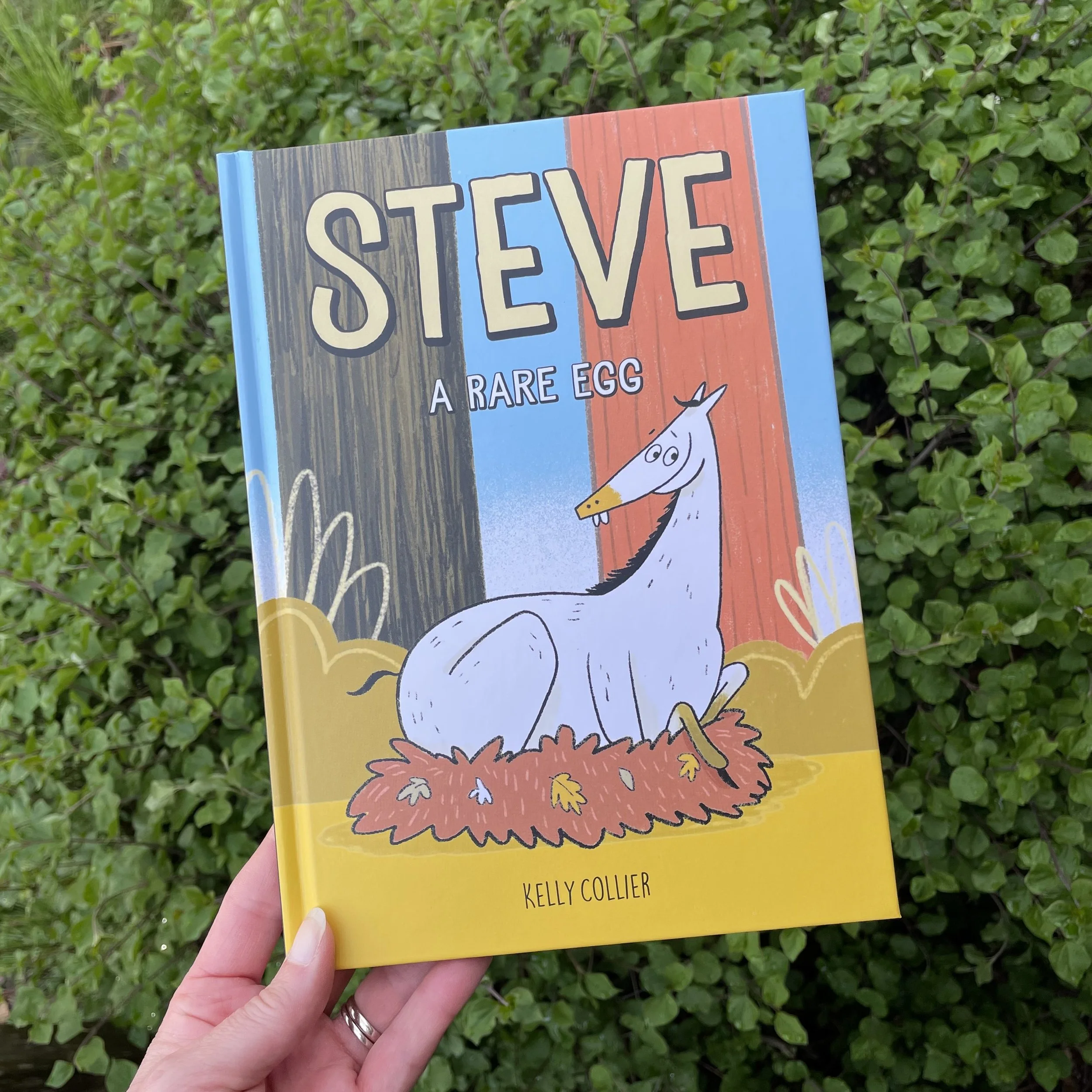 Steve, A Rare Egg