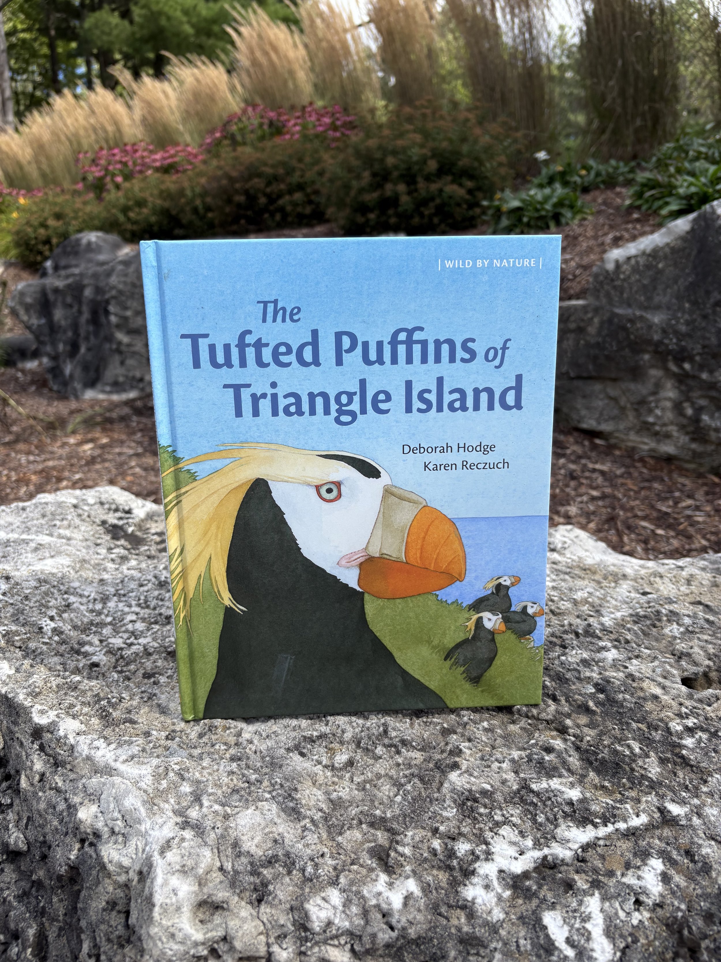 The Tufted Puffins of Triangle Island