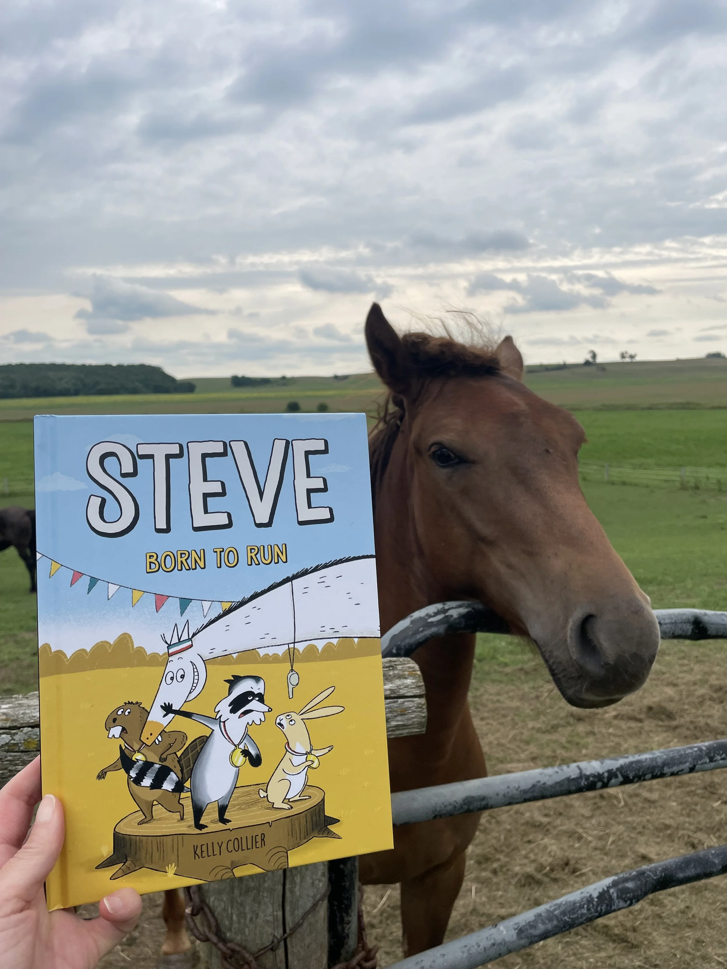 Steve: Born to Run
