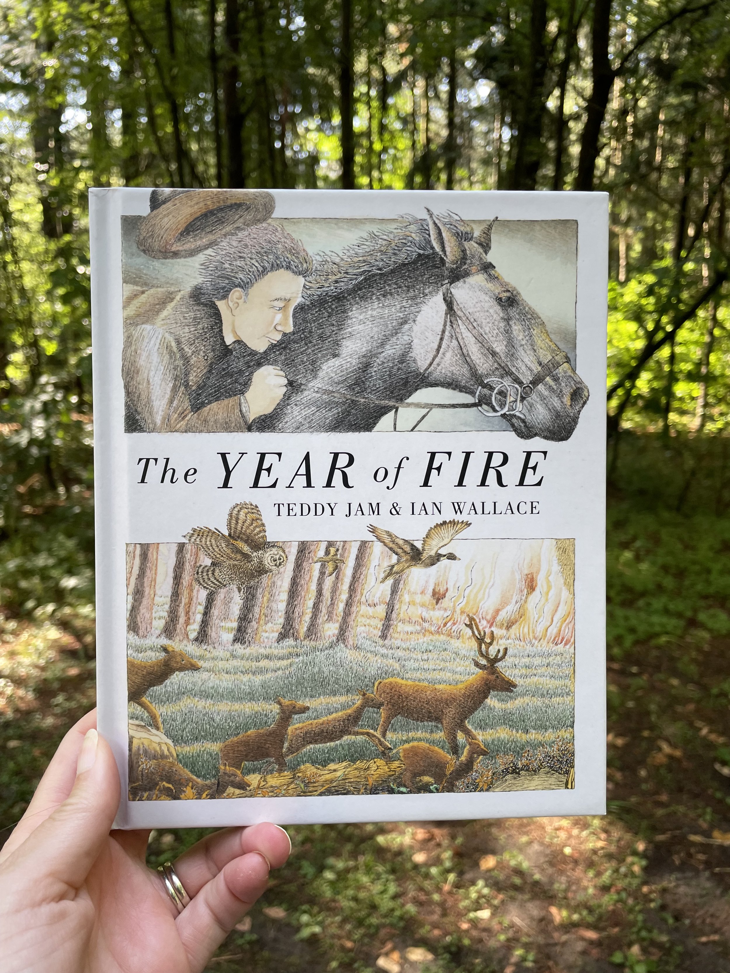 The Year of The Fire