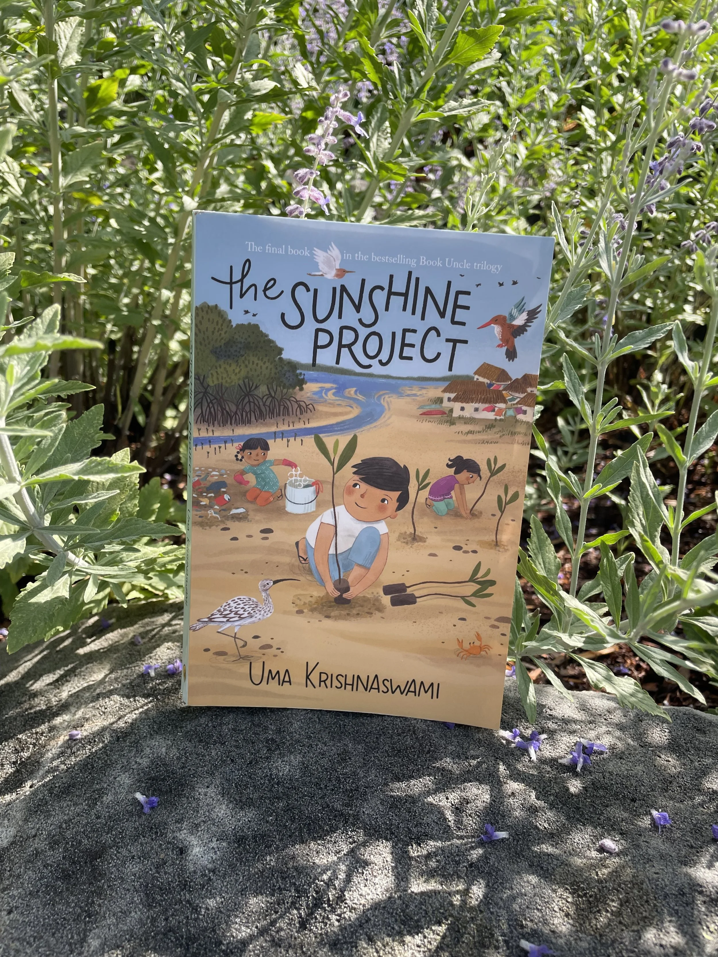 The Sunshine Project