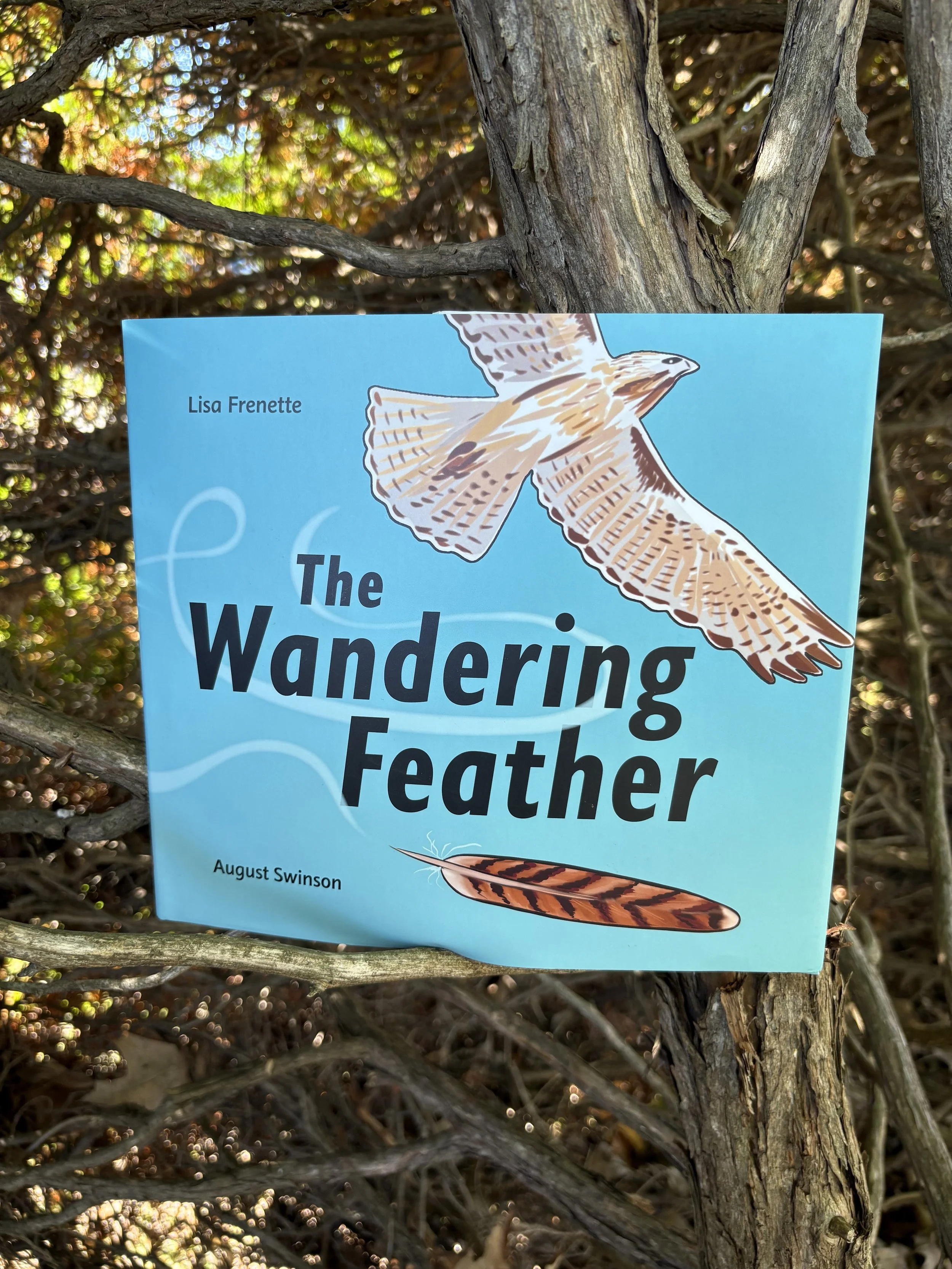 The Wandering Feather