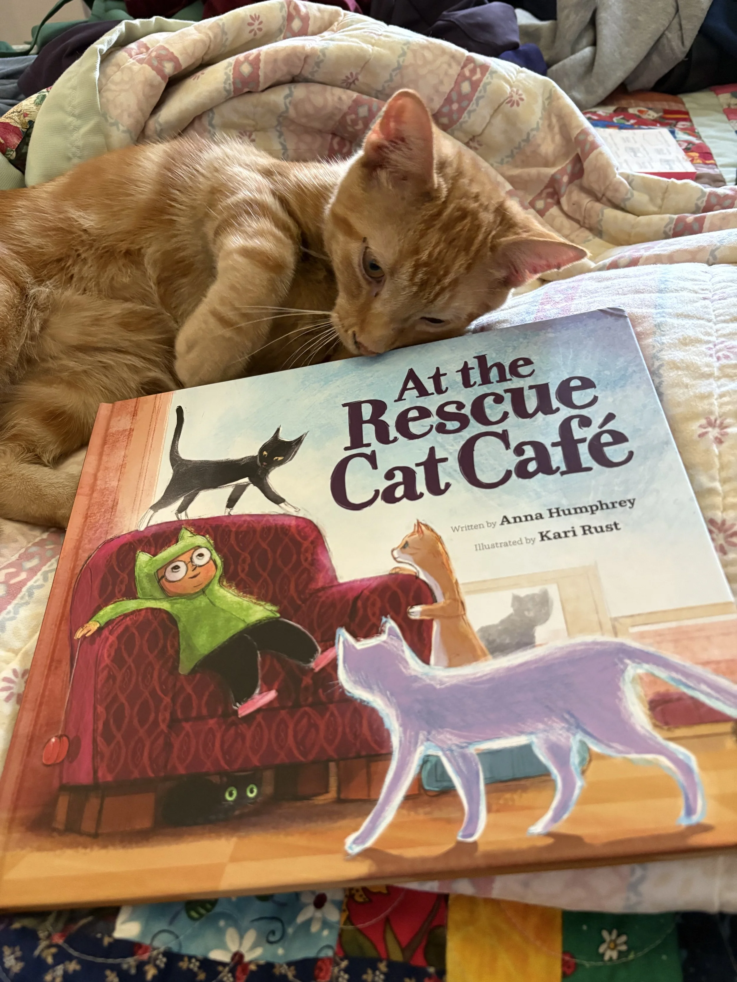 At the Rescue Cat Cafe