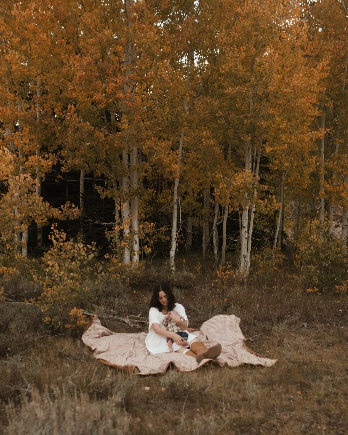 🍁🍂 F A L L 🍂🍁
Cannot wait for all my fall family sessions! If you are wanting stunning fall colors cedar mountain is the place to go! They will only be there for the next week or two so if you need fall family photos on the fall leaves I have a c