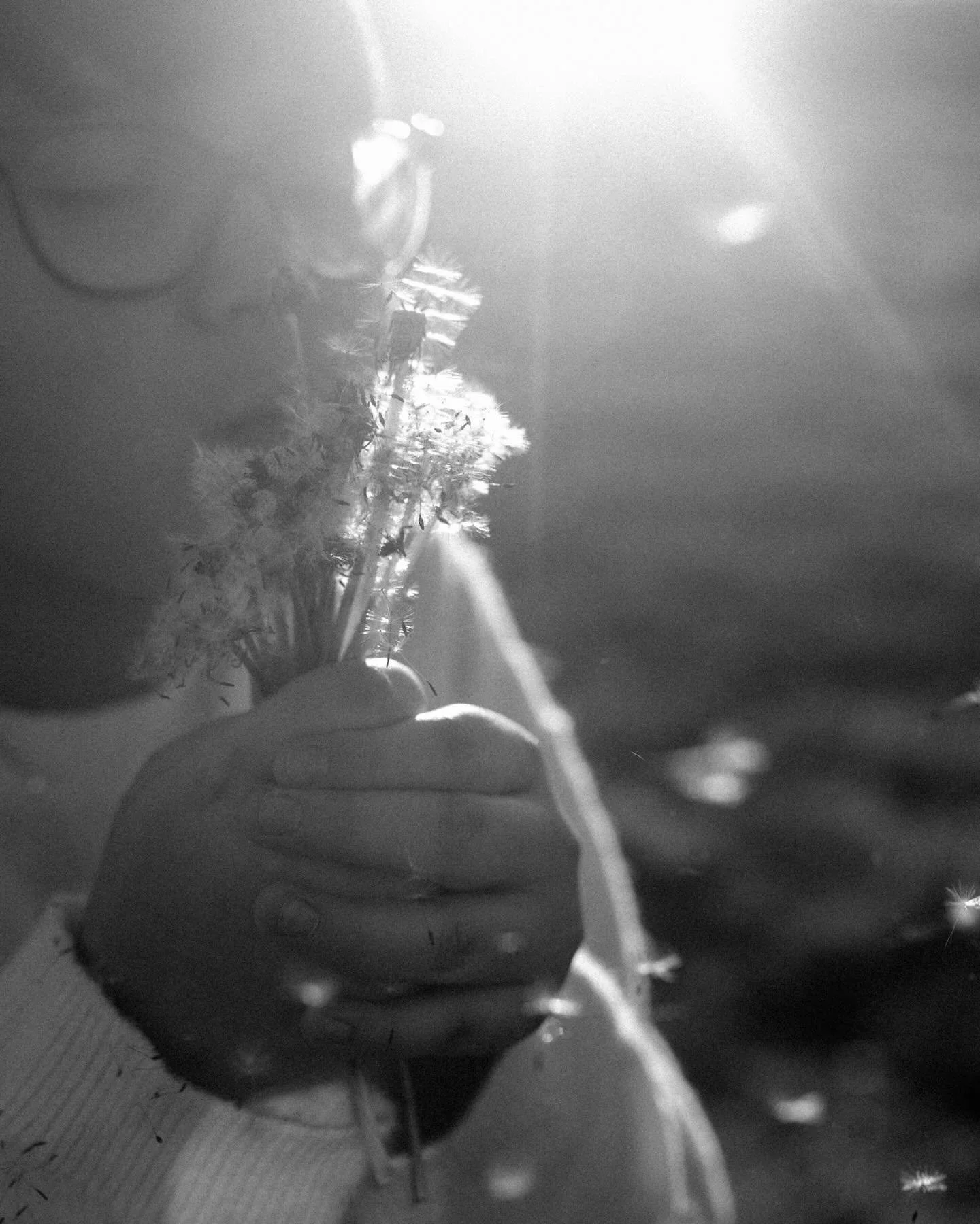 100% worth editing out the 500 other people in this field to shoot here with the fall colors 🤩