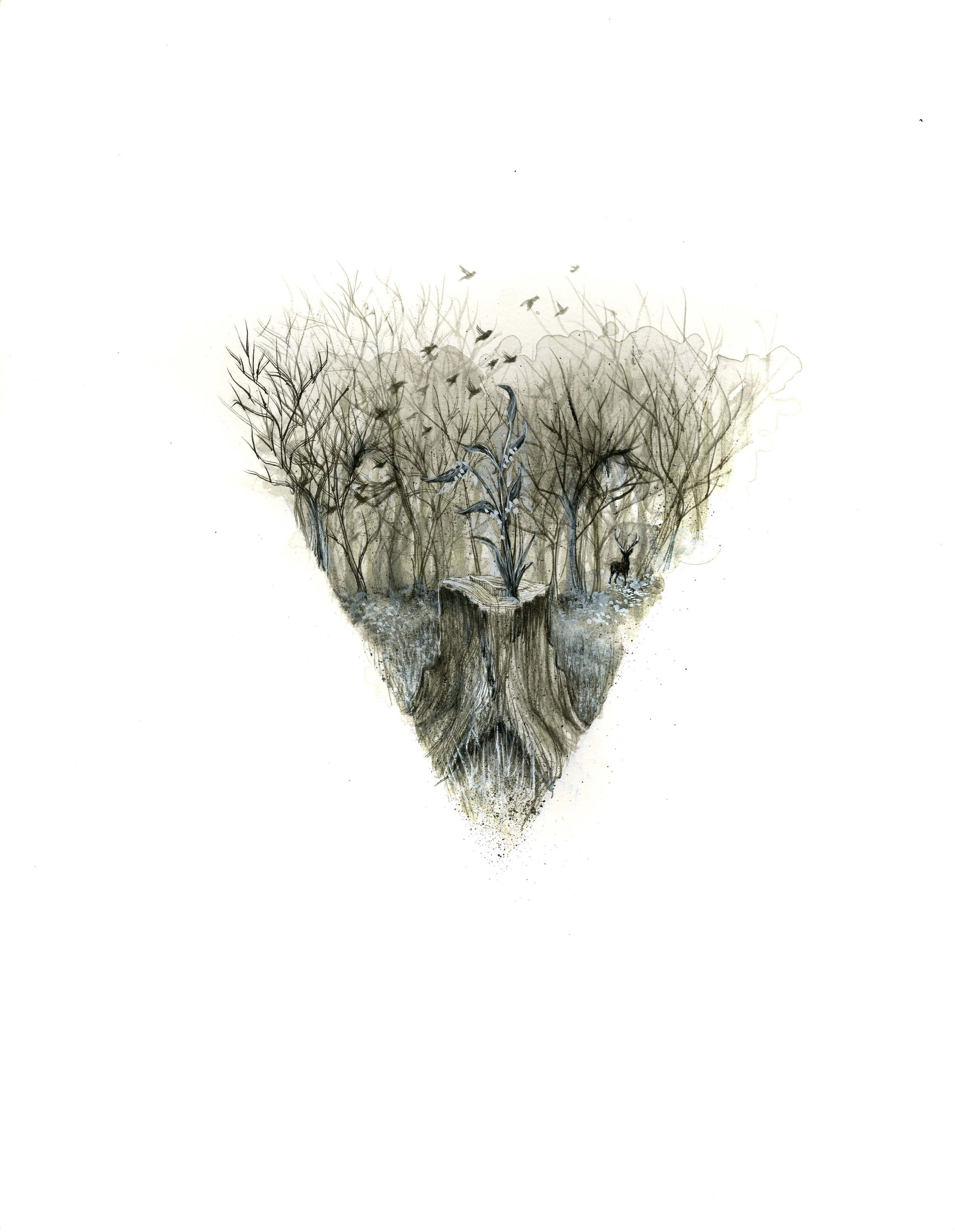 Encounter