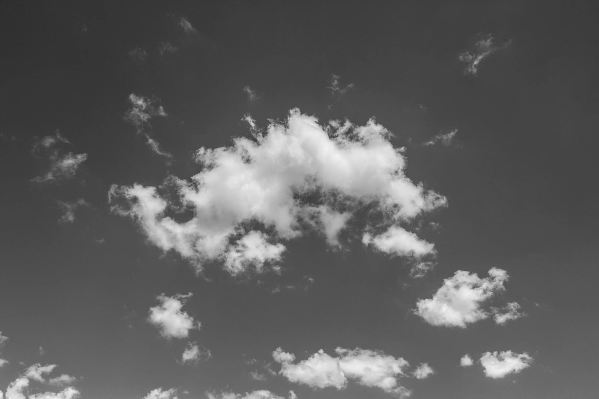 IMG_8655.JPG