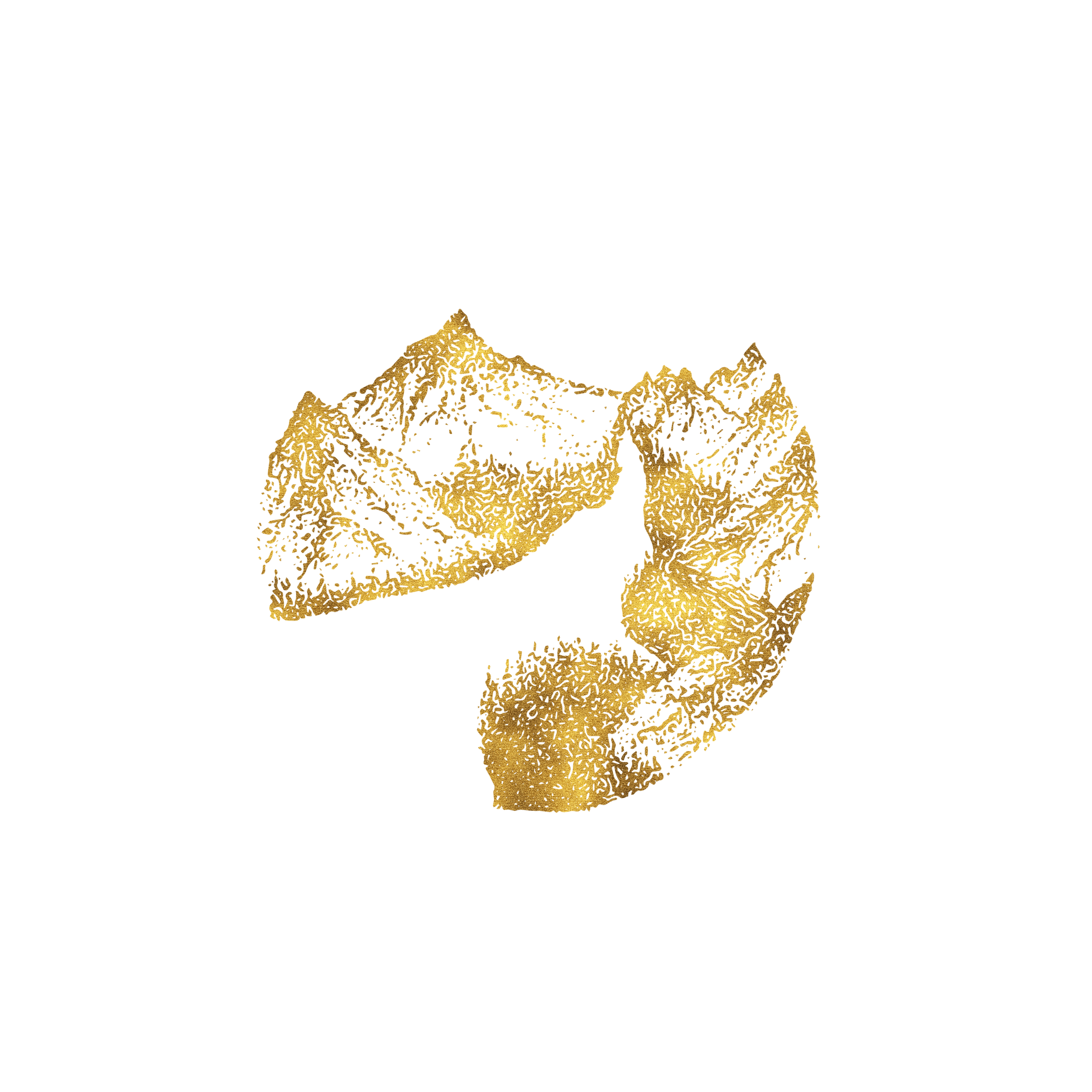 foil_mntn2.png