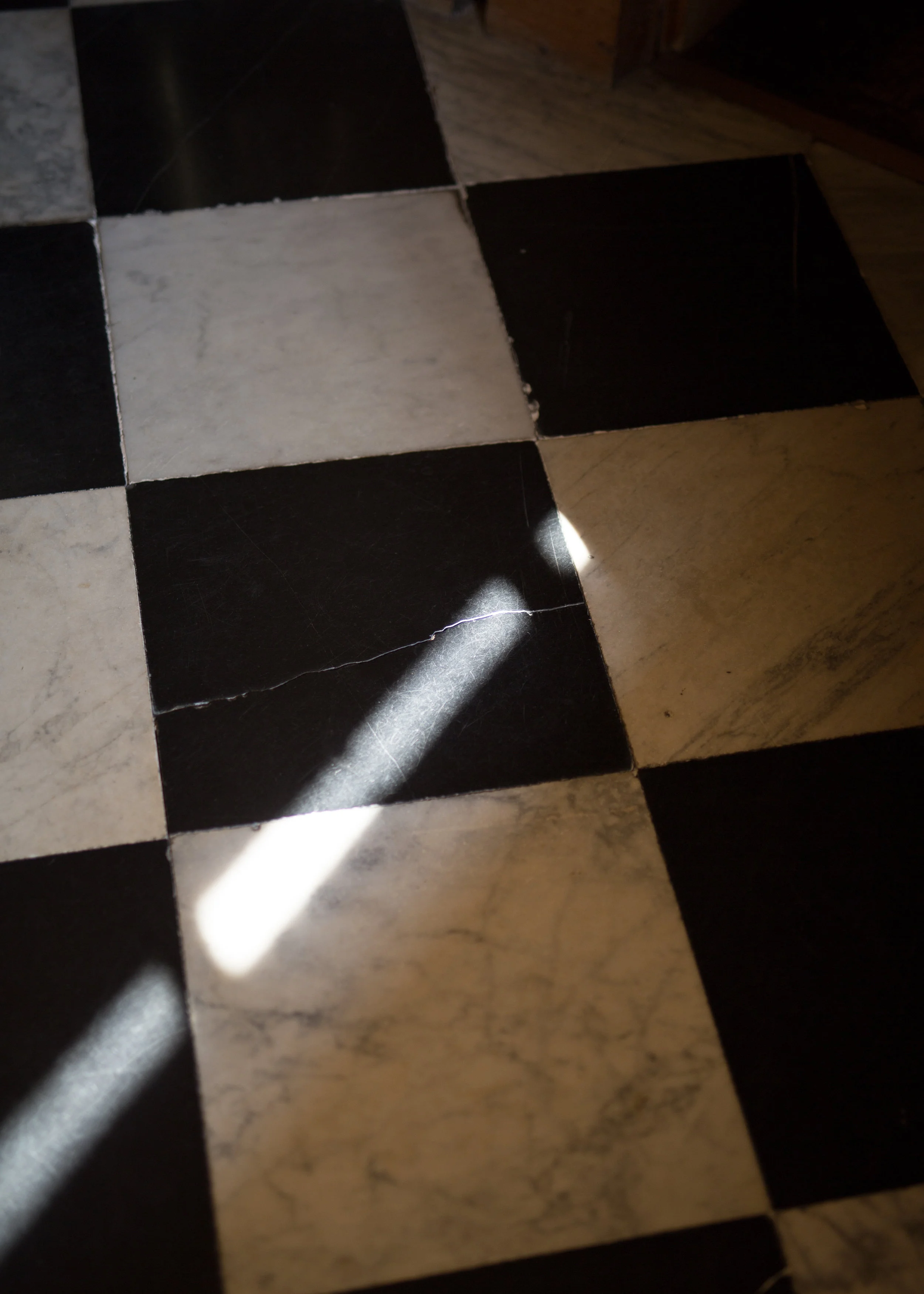 AX9A7206.jpg