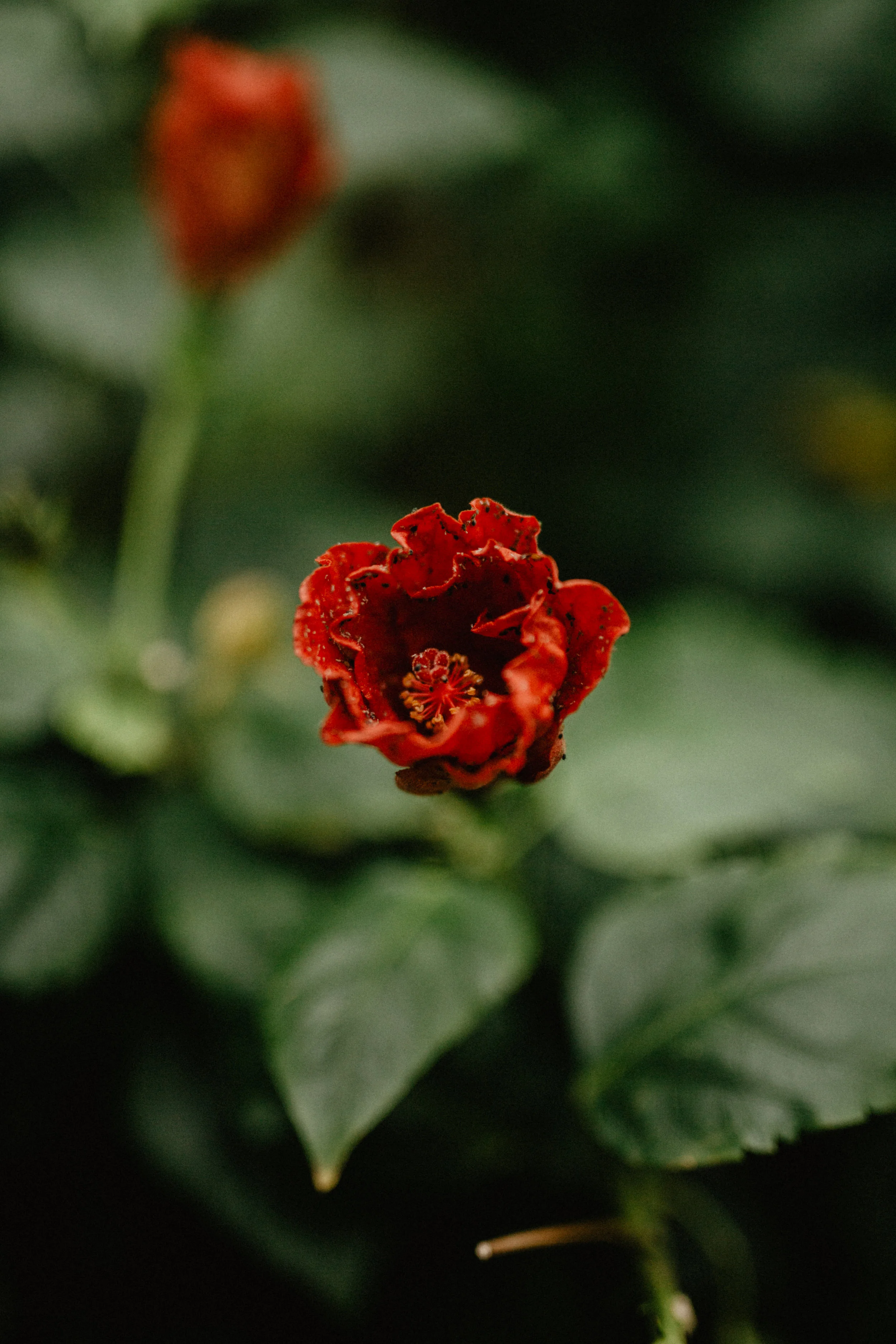 AX9A8733.jpg