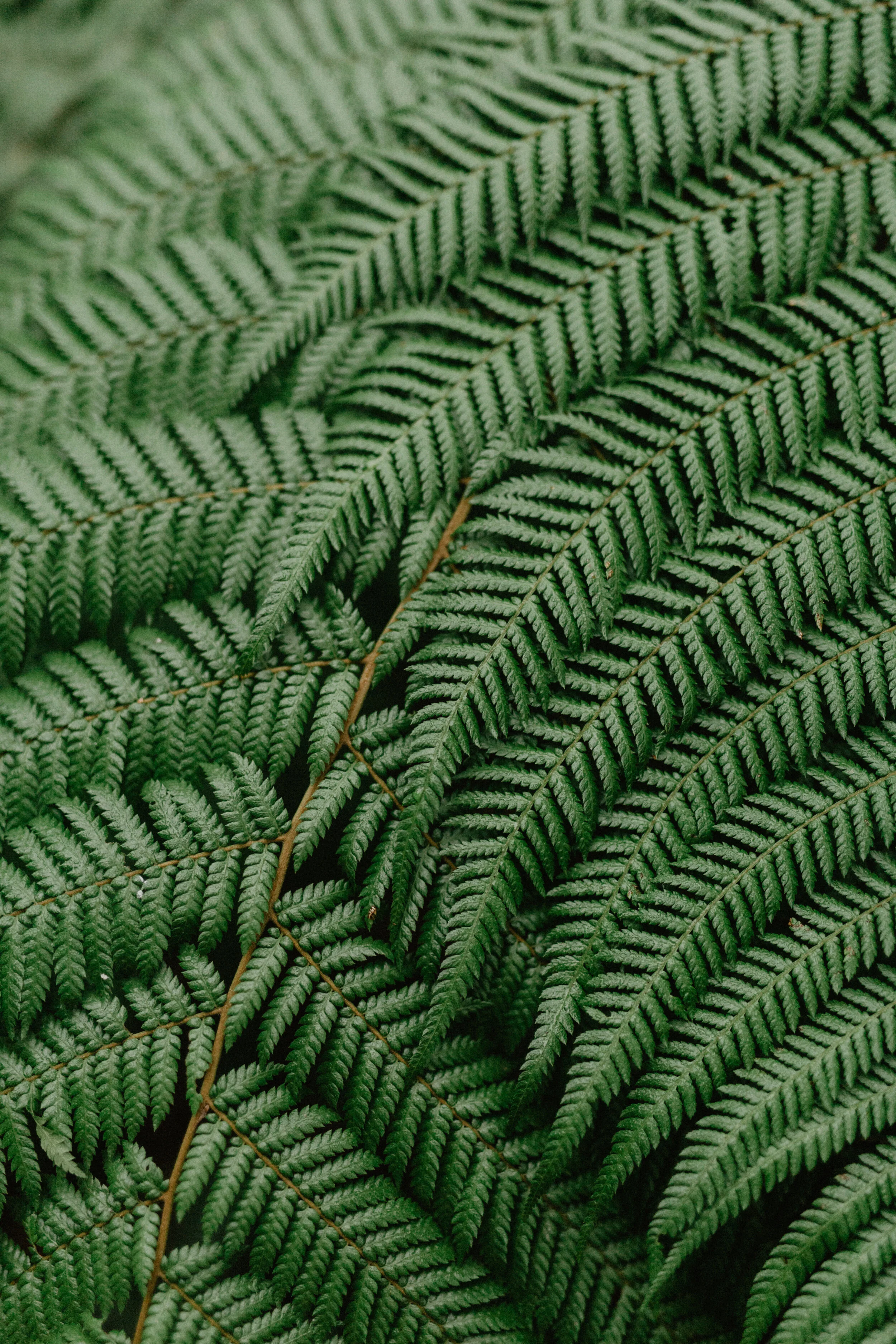 AX9A6856.jpg