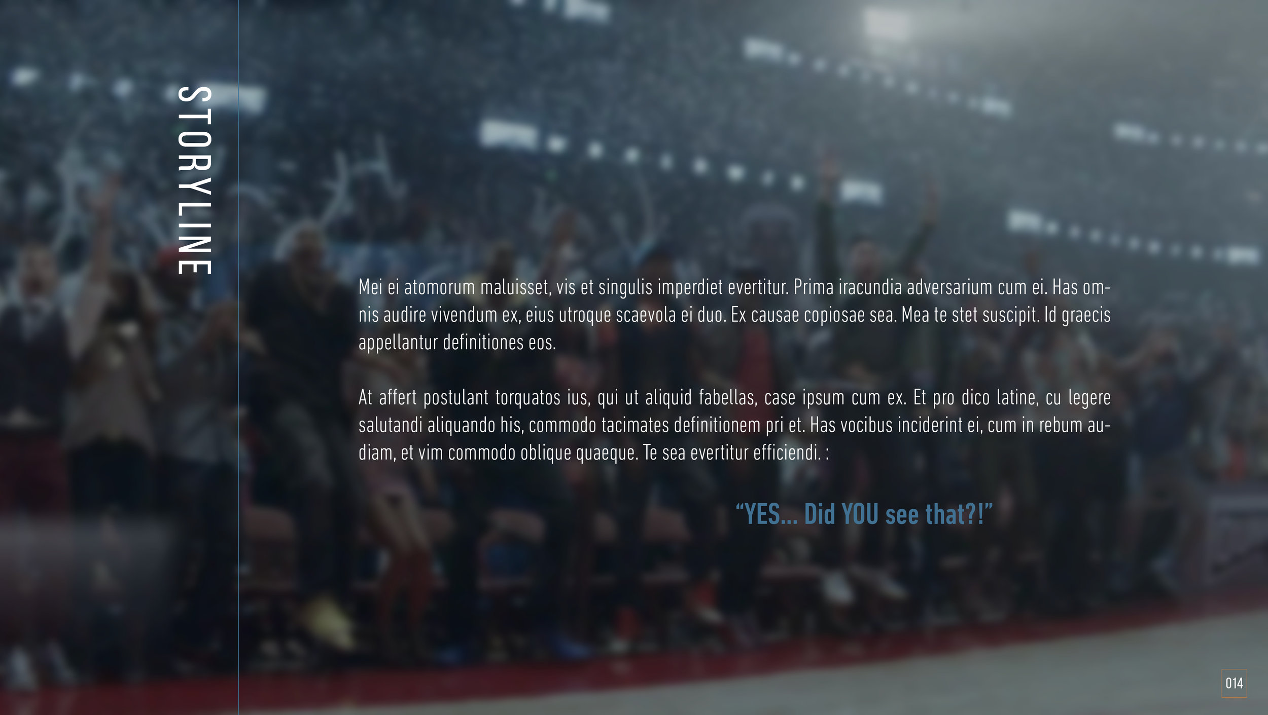 KNICKS_WEB14.jpg