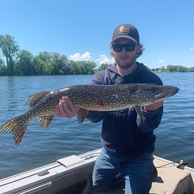 Another northern

#pikefishing #flyfishing #pike #fishing