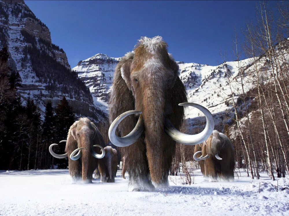 Did A Canadian Lake Kill The Mammoths?
