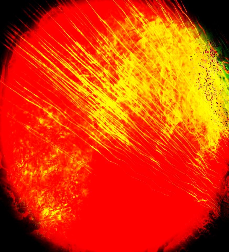 743F1731-A51A-4AD1-94EC-AEA0A4042F41.jpeg