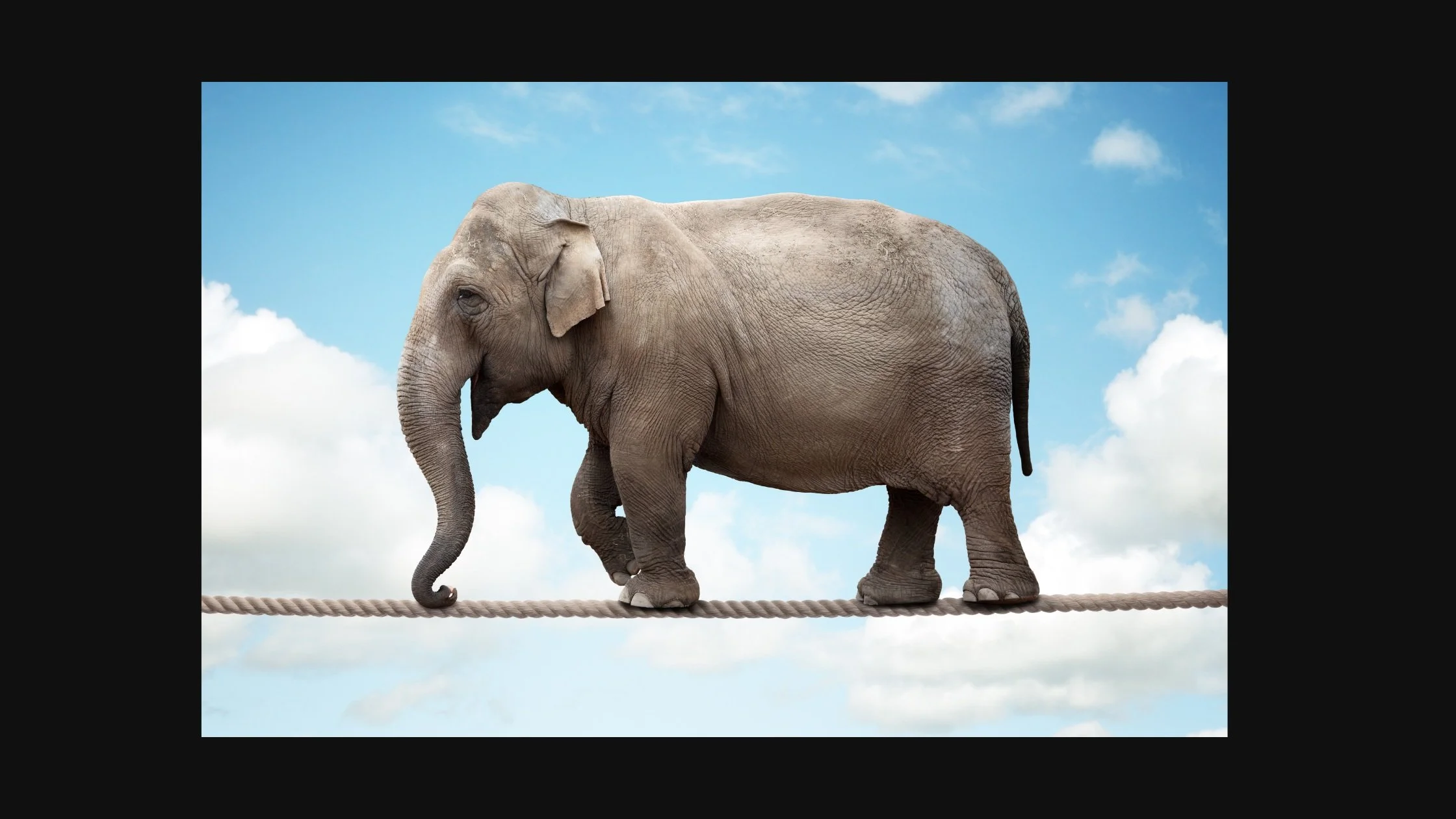 Balancing Act: Navigating the Challenges of a Full Plate