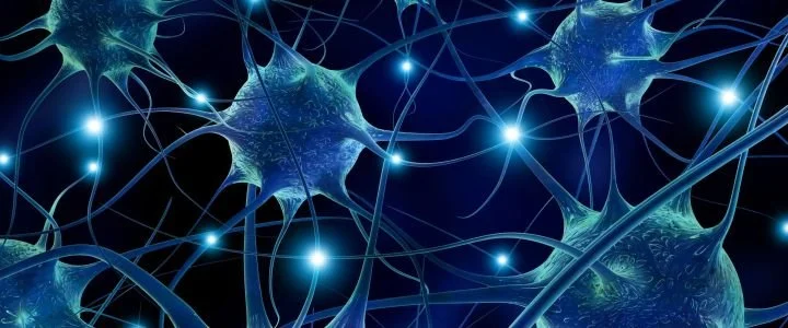 synaptic-pruning-header.jpg