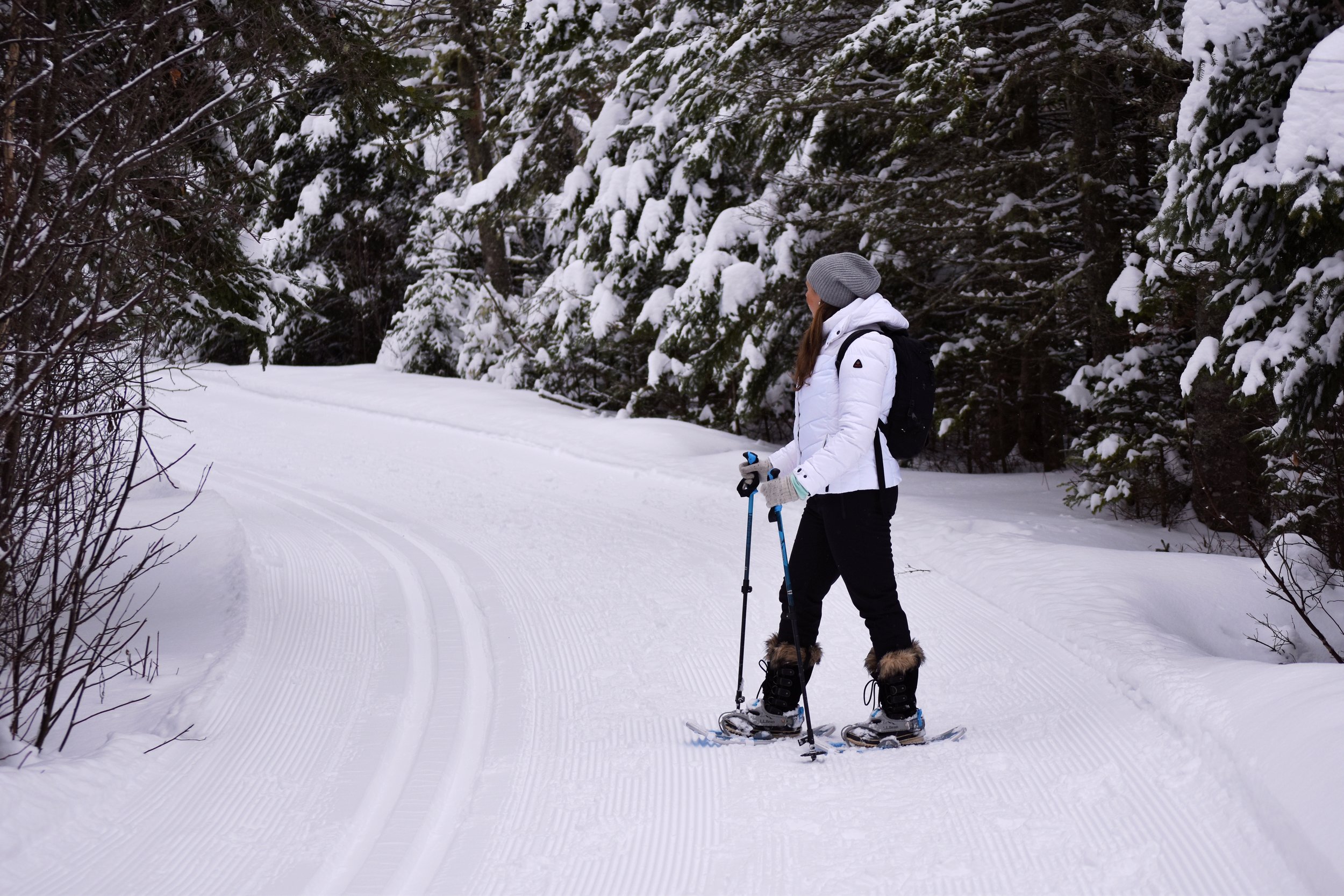 White Mountains Road Trip