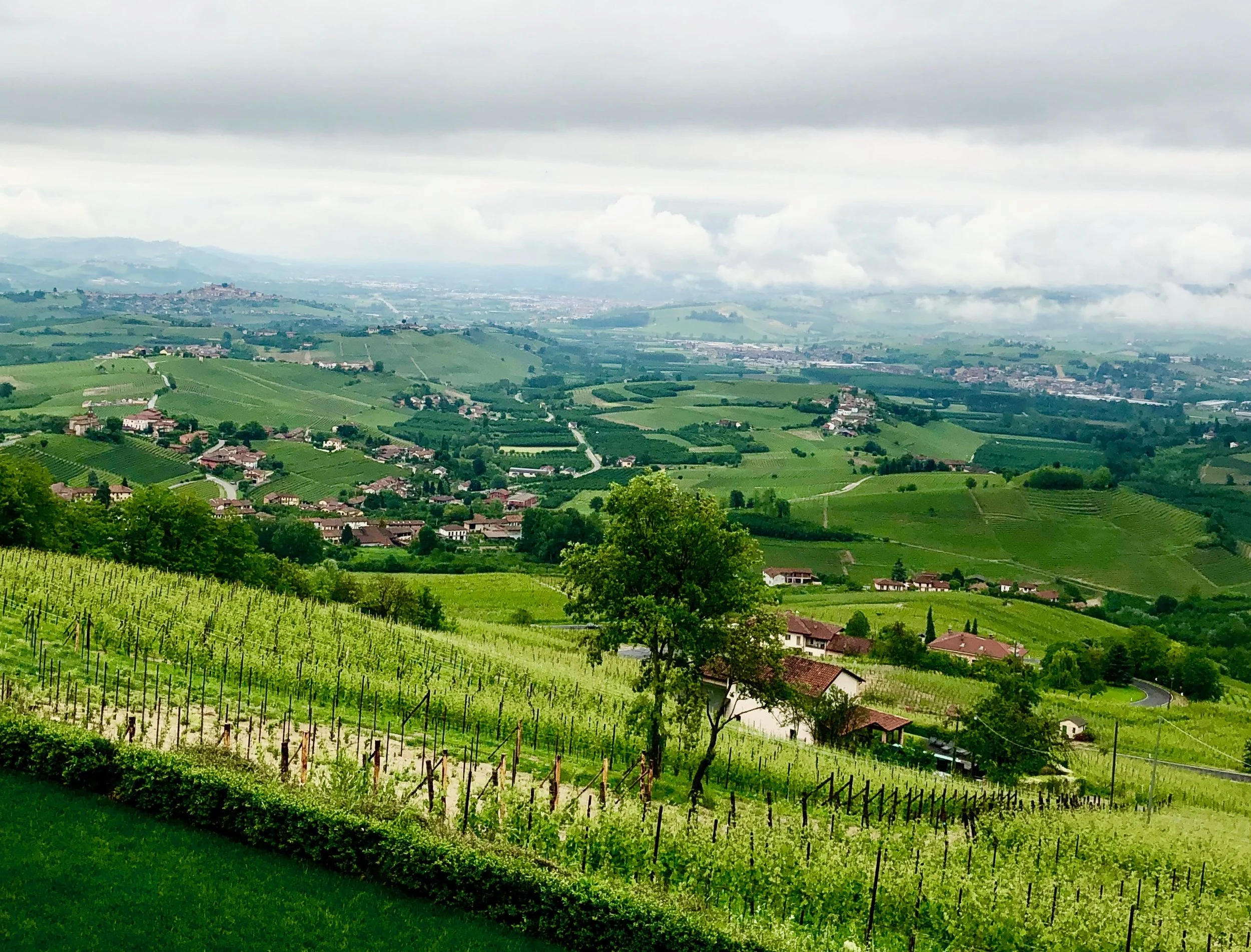 Farmhouse Living while Eating and Drinking through the Piedmont Region, Italy