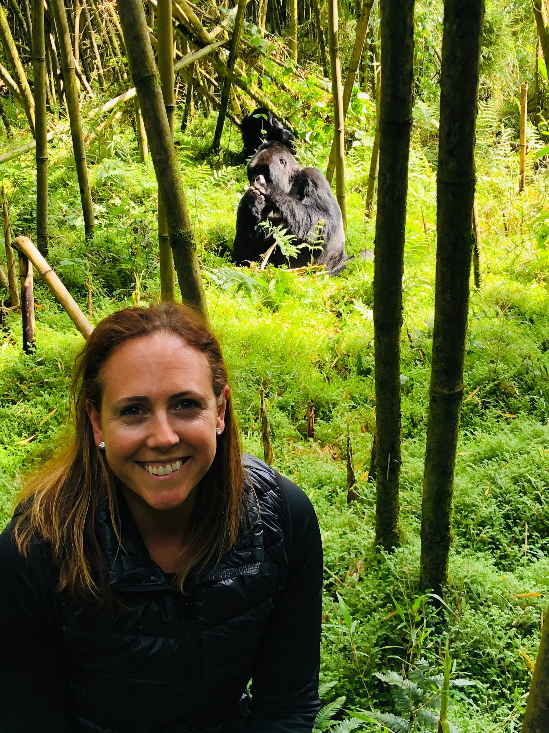 Trekking to Mountain Gorillas in Rwanda