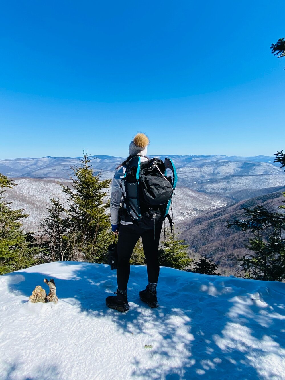 Summer in the Catskills  Great Northern Catskills of Greene County