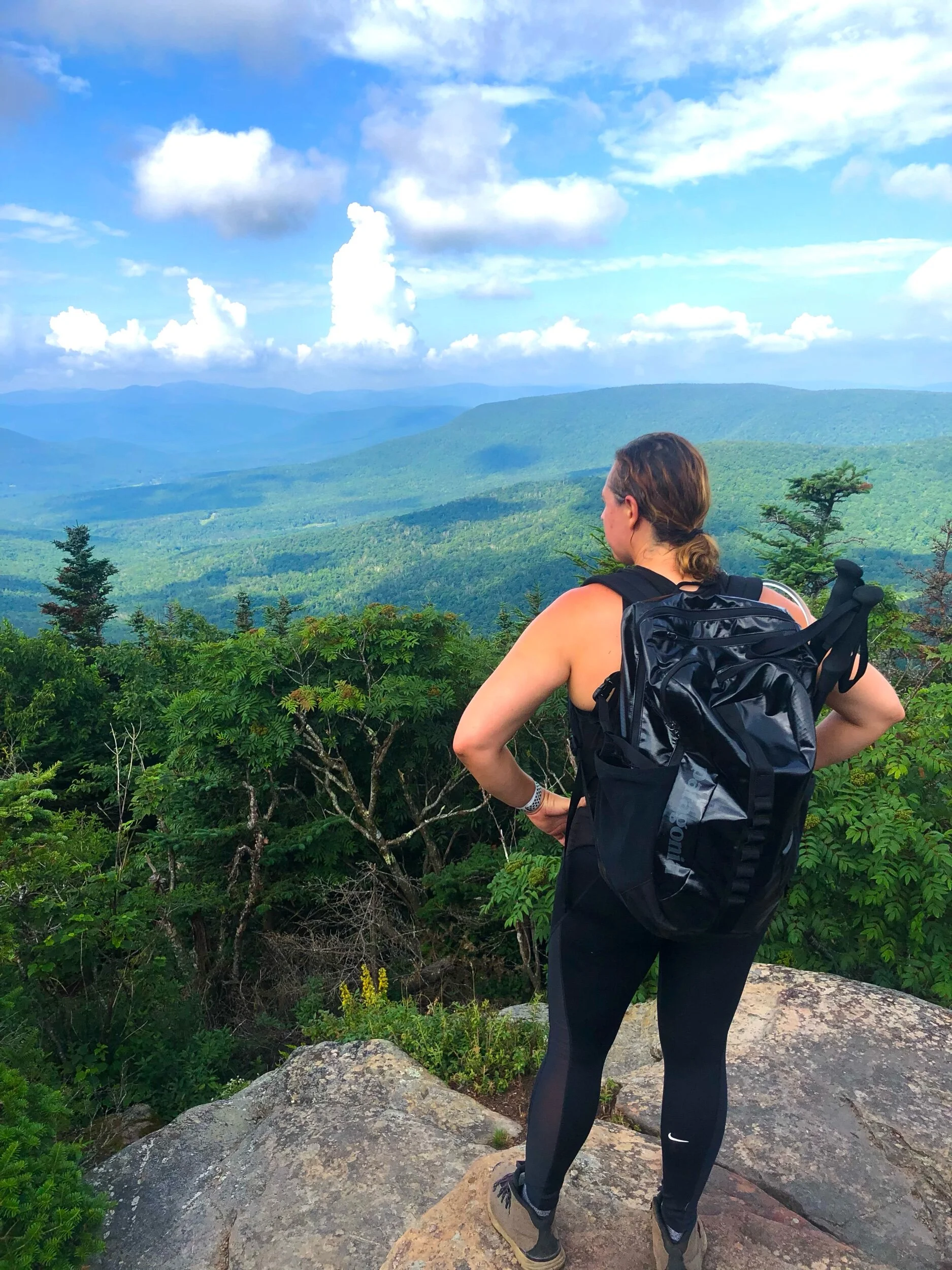 Catskills Guide: Western Catskills, Sullivan County