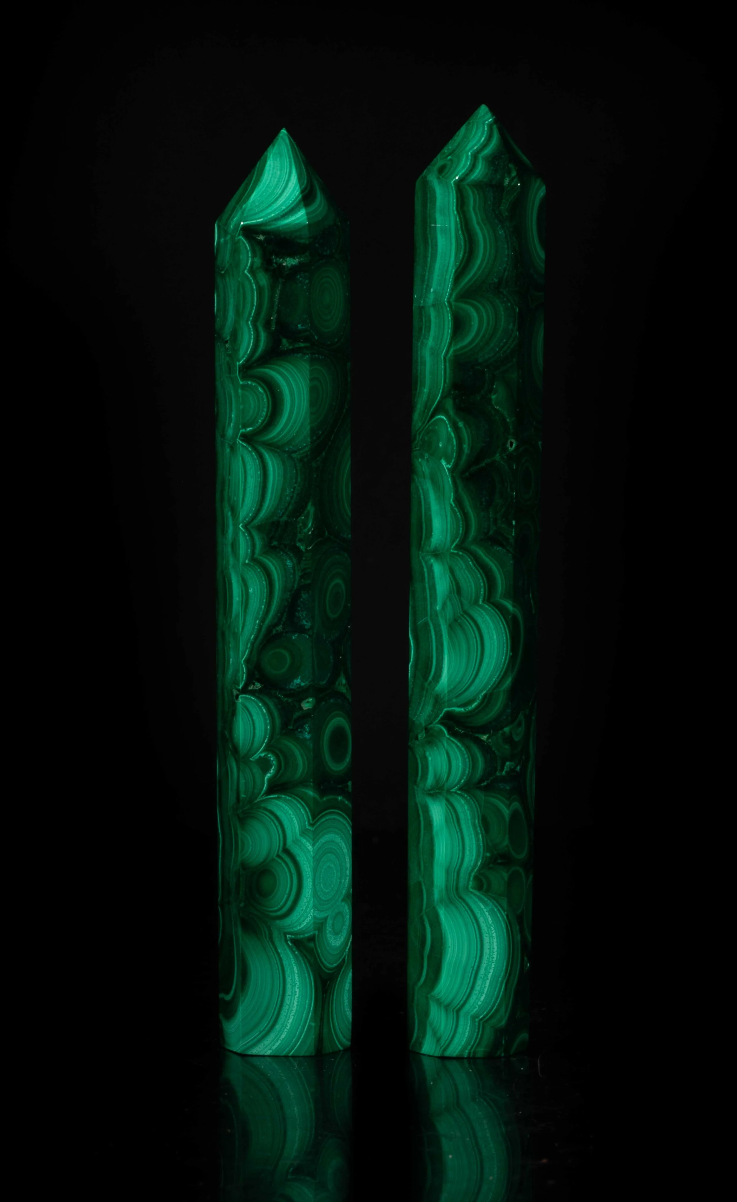 5617_1.jpg