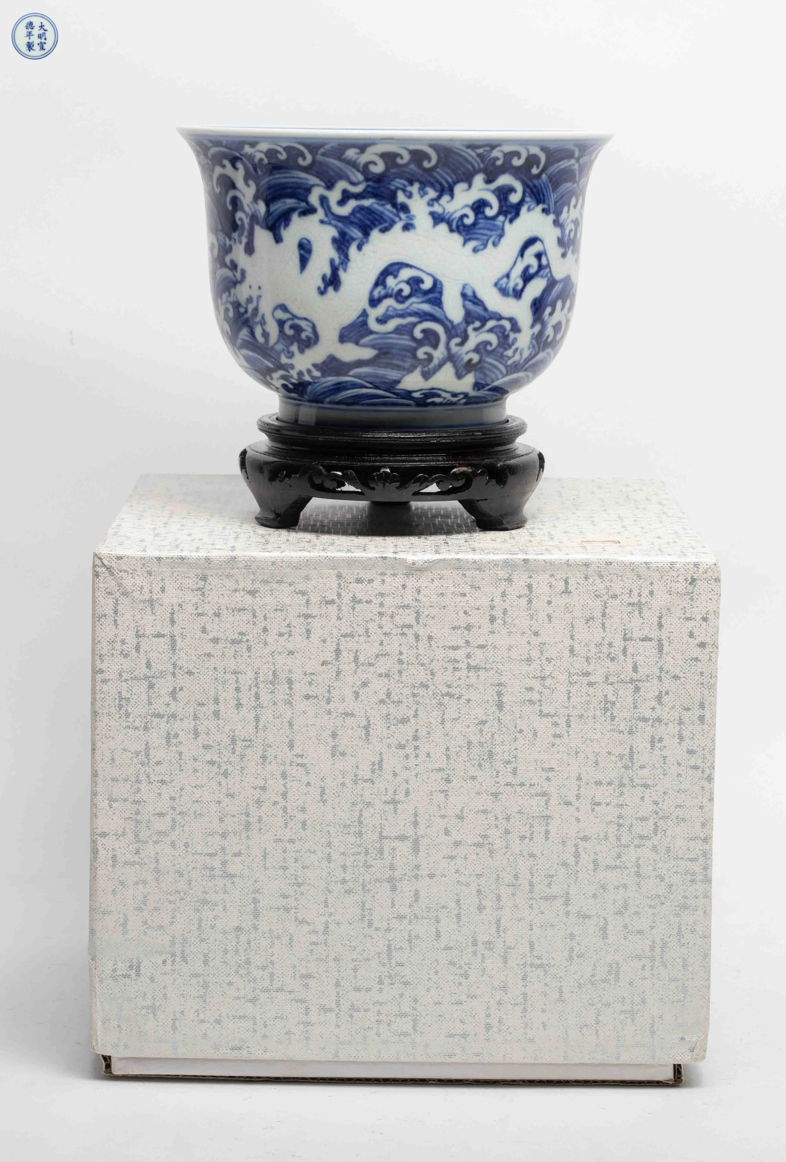 7323_1.jpg