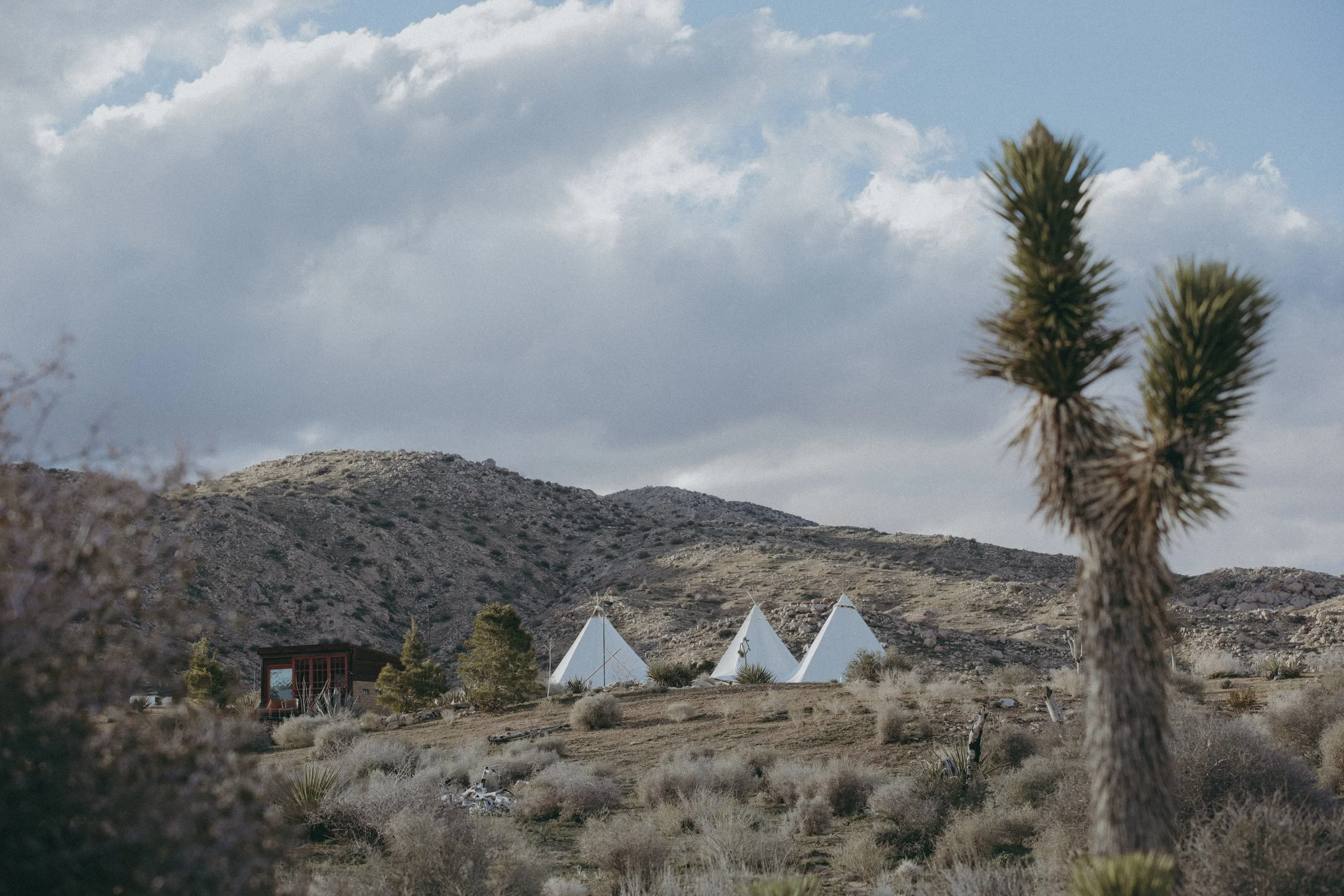 1_Under Canvas Tents at Rimrock_©Renee McMahon-16.JPG