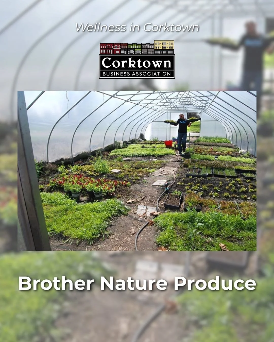 Image 2025-07-27 19-08-26-5.jpeg