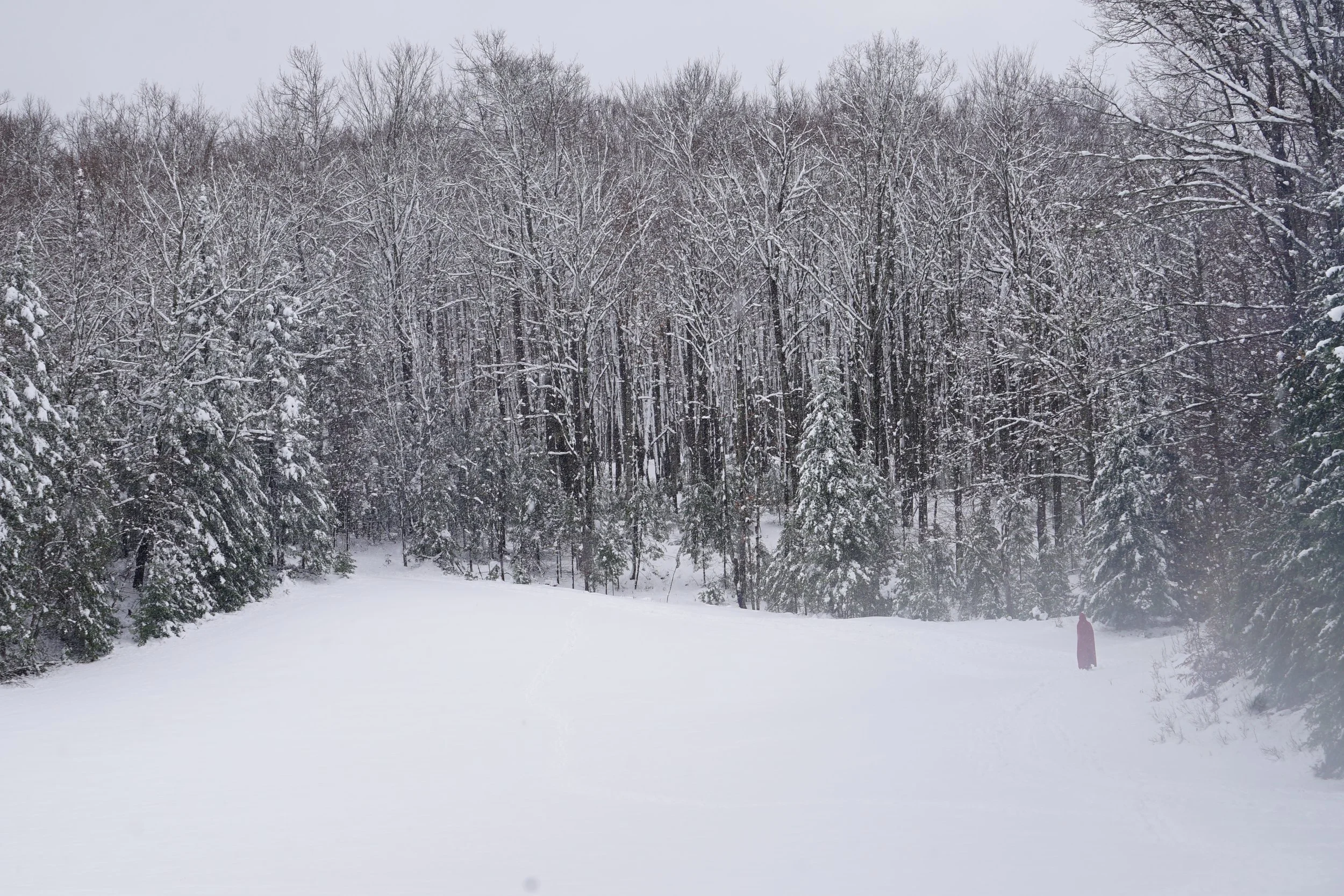 DSC08029.JPG