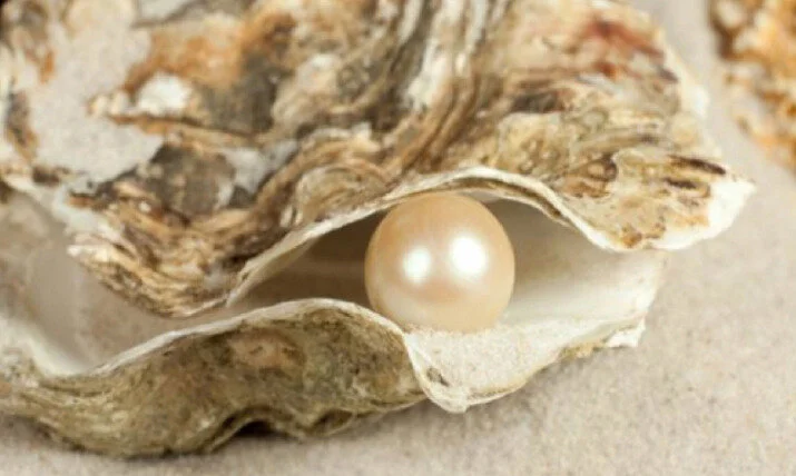 The Pearl of Great Price