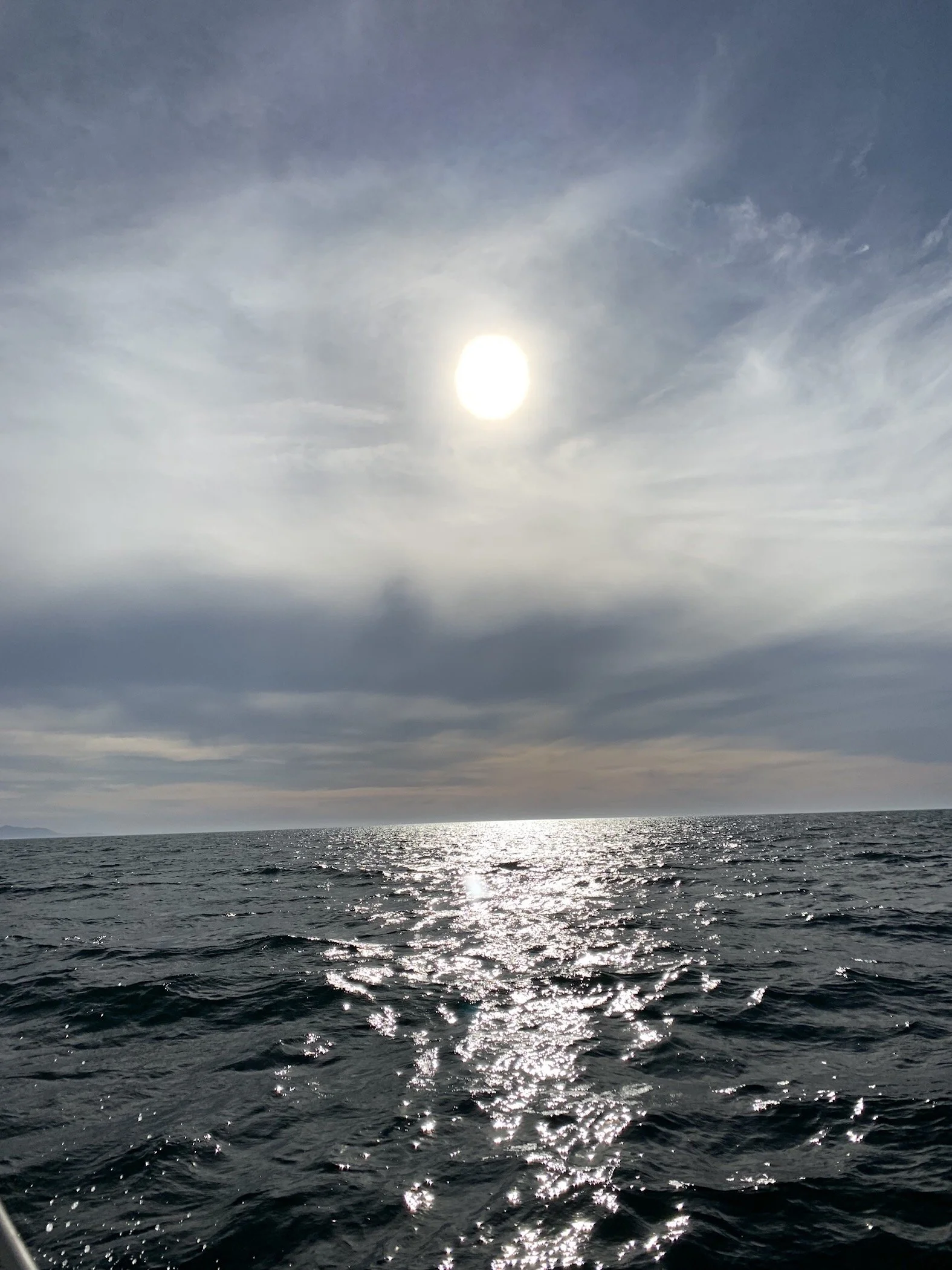 Forty Days and Forty Nights:  An Invitation