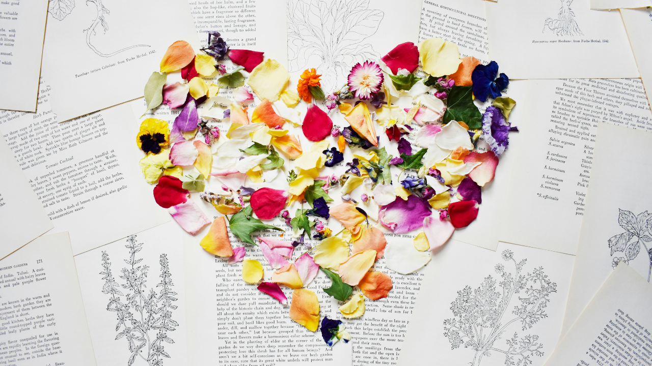 The Practice of Love