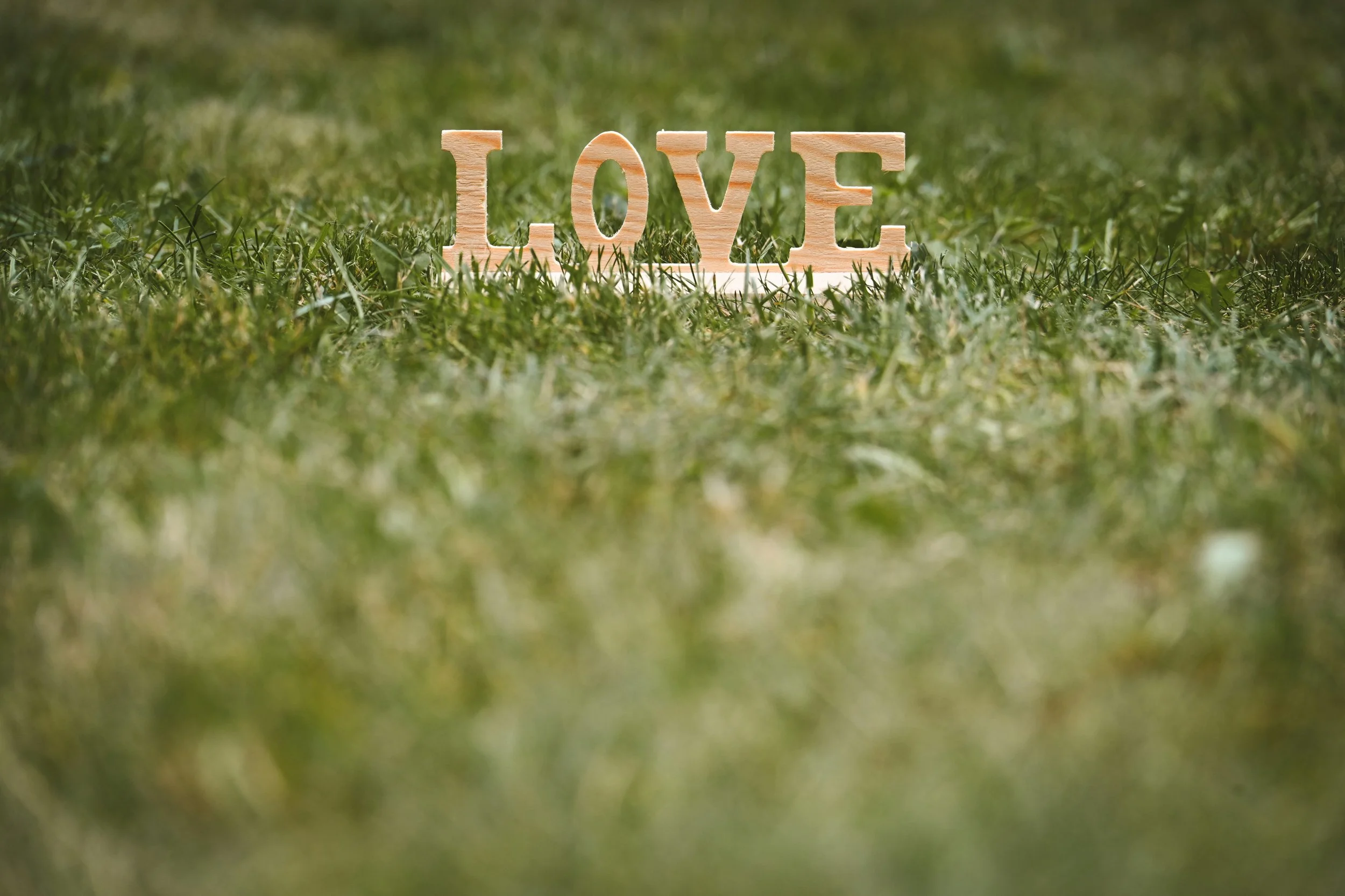 Abiding in Love: Summer's Fruit 